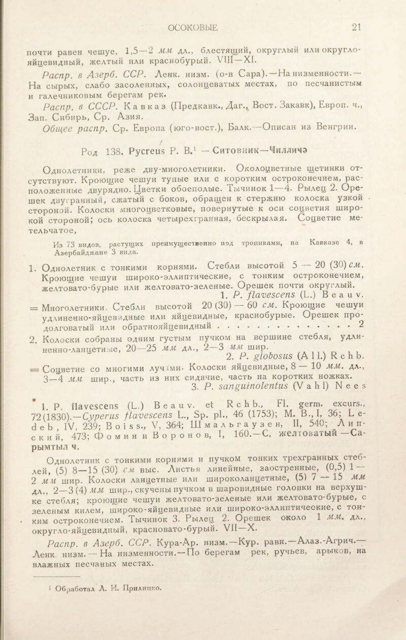 почти равен чешуе, 1,5—2 ММ да., блестящий, округлый или округло- яйцевидный, желтый или краснобурый. VIII XI. Распр. в Азерб. ССР. Ленк. низм. (о-в Сара). —На низменности.— На сырых, слабо засоленных, солонцеватых местах, по песчанистым и галечниковым берегам рек. Распр. в СССР. Кавказ (Предкавк., Даг.,^ Воет. Закавк), Европ. ч., Зап. Сибирь, Ср. Азия. Общее распр. Ср. Европа (юго-вост.), Балк.—Описан из Венгрии. / Род 138. Русгеиз Р. В.1 — Ситовник—Чилличэ Однолетники, реже дву-многолетники. Околоцветные щетинки от¬ сутствуют. Кроющие чешуи тупые или с коротким остроконечием, рас¬ положенные двурядно. Цветки обоеполые. Тычинок 1—4. Рылец 2. Оре¬ шек двугранный, сжатый с боков, обращен к стержню колоска узкой стороной. Колоски многоцветковые, повернутые к оси соцветия широ¬ кой стороной; ось колоска четырехгранная, бескрылая. Соцветие ме¬ тельчатое, Из 73 видов, растущих преимущественно под тропиками, на Кавказе 4, в Азербайджане 3 вида. 1. Однолетник с тонкими корнями. Стебли высотой 5 20 (30) см. Кроющие чешуи широко-эллиптические, с тонким остроконечием, желтовато-бурые или желтовато-зеленые. Орешек почти округлый. 1. Р. /Іаѵезсепз (Е.) В е а и ѵ. = Многолетники. Стебли высотой 20 (30) — 60 см. Кроющие чешуи удлиненно-яйцевидные или яйцевидные, краскобурые. Орешек про долговатый или обратнояйцевидный.. « 2 2. Колоски собраны одним густым пучком на вершине стеоля, удли¬ ненно-ланцетные, 20—25 мм да., 2 3 мм шир. 2. Р. §1одозиз (АН.) К с Ь Ь. = Соцветие со многими лучіми- Колоски яйцевидные, 8 10 мм. дл., 3—4 мм шир., часть из них сидячие, часть на коротких ножках. 3. Р. запкиіпоіепіиз (V а Ь I) N е е з 1. Р. Ііаѵезсепз (Б.) В е а и ѵ. еі К. с Ь Ь., Н. ^егт. ехеигз., 72(1830). — Сурегиз /Іаѵезсепз Б., 5р. рЕ, 46 (1753); М. В., I, 36; Бе- гіеЬ IV, 239; В о і 5 з., V, 364; Шмальгаузен, II, 540; Лип- ский, 473; Фомин и Воронов, I, 160.-С, желтоватый -Са- рымтыл ч. Однолетник с тонкими корнями и пучком тонких трехгранных стеб- лей, (5) 8—15(30) см выс. Листья линейные, заостренные, (0,5)1 — 2 ММ шир. Колоски ланцетные или широколанцетные, (5) 7 — 15 ММ ДЛо? 2—3(4) ММ шир., скучены пучком в шаровидные головки на верхуш¬ ке стебля; кроющие чешуи желтовато-зеленые или желтовато-бурые, с зеленым килем, широко-яйцевидные или широко-эллиптические, с тон¬ ким остроконечием. Тычинок 3. Рылец 2. Орешек около 1 ММ. да., округло-яйцевидный, красновато-бурый. VII X. Распр. в Азерб. ССР. Кура-Ар. низм. —Кур. равн.—Алаз.-Агрич.— Ленк. низм. — На низменности. — По берегам рек, ручьев, арыков, на влажных песчаных местах. 1 Обработал Л. И. Прилипко.