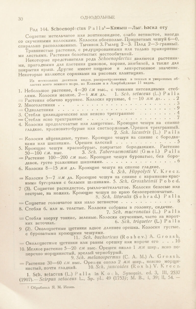 ОДНОДОЛЬНЫЕ Род 144. ЗсЬоепорксІііБ Р а 11 а1 — Камыш —Лыг. Ьэсил оту Соцветие метельчатое или зонтиковидное, слабо ветвистое, иногда со скученными колосками. Колоски обоеполые. Прицветных чешуи 6—0, спирально расположенных. Тычинок 3. Рылец 2 3. Плод 2 о~гранный. Травянистые растения, с редуцированными или только прикорневы¬ ми листьями. Растения болотистых местообитаний. Некоторые представители рода Зскоепоріесіиз являются растения¬ ми, пригодными для плетения цыновок, корзин, зимбилей, а также для покрытия крыш. Другие имеют пищевое и лекарственное значение. Некоторые являются сорняками на рисовых плантациях. Из нескольких десятков видов, распространенных в теплых и умеренных об¬ ластях всего земного шара, на Кавказе и в Азербайджане 11 видов. 1. Небольшое растение, 4—20 СМ выс., с тонкими нитевидными стеб¬ лями. Колоски мелкие, 2—4 мм дл. 1. Зек. $еіасеіі8 (Ь.) Ра II а — Растения обычно крупнее. Колоски крупные, 4 — 10 мм дл. . . . 2 2. Многолетники. ^ — Однолетники.*.- 3. Стебли цилиндрические или неясно трехгранные.4 = Стебли ясно трехгранные.‘ 4. Колоски продолговатые или ланцетные. Кроющие чешуи на спинке гладкие, красновато-бурые или светлоржавые. Орешек трехгранный. 2. Зек. Іасіі8ІгІ8 (Ь.) Р а 11 а = Колоски яйцевидные, тупые. Кроющие чешуи на спинке с бородав¬ ками или шипиками. Орешек плоский.5 5. Кооющие чешуи краснобурые, покрытые бородавками. Растение 50—100 см. выс. 3. Зек. ТаЪегпаетопіапі (О т е 1.) РаПа = Растение 100—200 см выс. Кроющие чешуи буроватые, без боро¬ давок, густо усаженные шипиками.6 6 Колоски 8—15 ММ дл. Кроющие чешуи на спинке гладкие. 4. Зек. Нірроіуіі V. к г е с 2. = Колоски 5—7 мм да. Кроющие чешуи на спинке с карминово крас¬ ными бугорками с белыми шипиками. 5. Зек. (Згоззквітіі Р о Ь е сі. 7 >3). Соцветие раскидистое, рыхло-метельчатое. Колоски белесые или пестрые, на ножках. Кроющие чешуи по краю белоперепончатые. 8. Зек. Шогаііз (5 с Ь г а 3.) Р а 1 1 а —: Соцветие головчатое или мало ветвистое. ^ 8. Стебли б. или м. толстые. Колоски собраны в головку, сидячие. 7. Зек. тисгопеіііі8 (Ь.) Р а 1 1 а — Стебли вверху тонкие, зеленые. Колоски скученные, часто на корот¬ ких веточках. 6. Зек. ігщиеіег (Ь.) Р а 11 а 9 (2). Околоцветные щетинки вдвое длиннее орешка. Колоски густые,. с буроватыми кроющими чешуями. , 11. Зек. Ьискагісиз (К о з Ь е ѵ.) А. О г о з з п. — Околоцветные щетинки или равны орешку или короче его . . .10 10. Мелкое растение 5—20 см выс. Орешек около 1 ММ шир., ясно по¬ перечноморщинистый, зрелый чернобурый. _ . 9. Зек. теіапозрегтиз (С. А. М.) А. Огозз Ь. — Растение 30—60 СМ выс. Ореівек около 2 ММ шир., неясно морщи- нистый, почти гладкий. 10, Зек. )Ш1СоЫез (Кох Ь.) V. К г е с г. 1. 5сЬ. $еІасеи5 (Ь.) Ра 11а іп К о с Ь, Зупорзіз, ей. 3, III, 2537 (1907).— Зсігриз зеіасеиз Ь., 5р. рі., 49 (1753,); М. В., I, 39; II, 54. — 1 Обработал Я. М. Исаев.