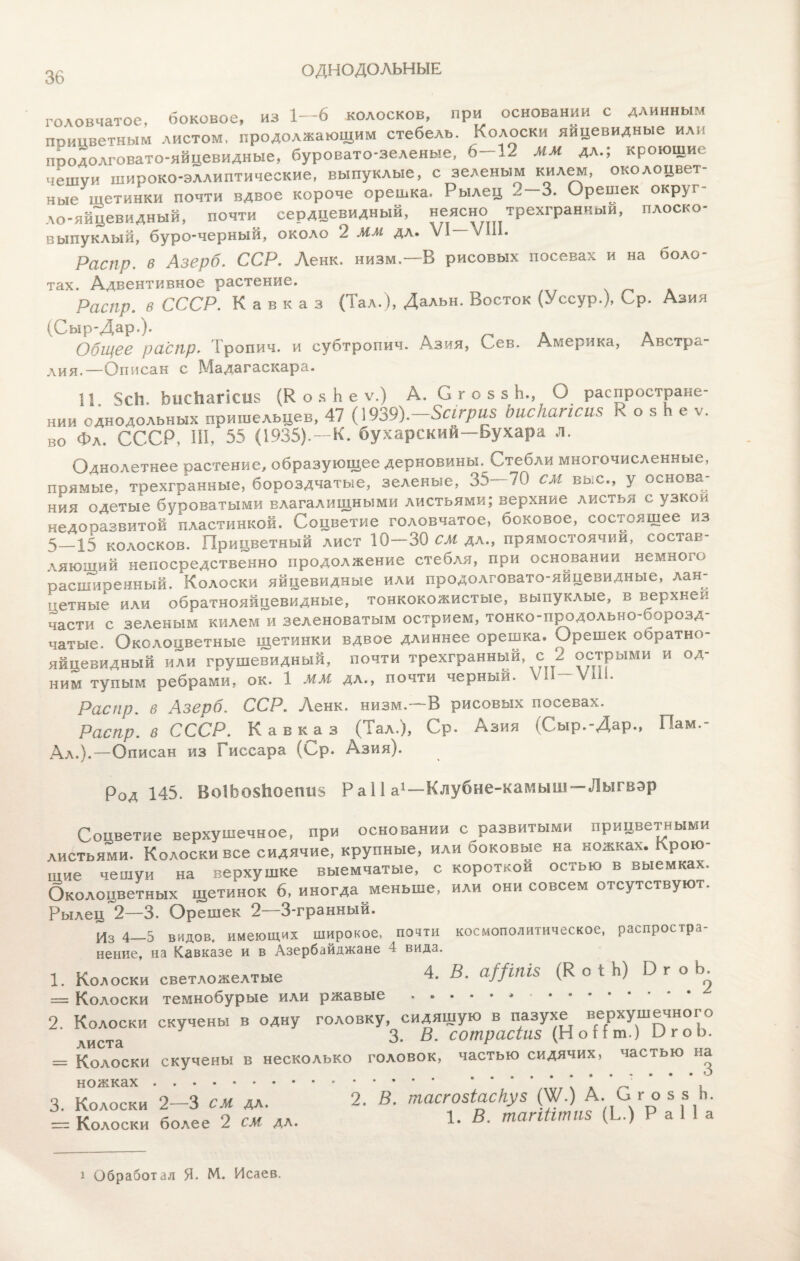 ОДНОДОЛЬНЫЕ головчатое, боковое, из 1—6 колосков, при основании с длинным прицветным листом, продолжающим стебель. Колоски яйцевидные или поодолговато-яйцевидные, буровато-зеленые, 6-12 мм дл.; кроющие чешѵи широко-эллиптические, выпуклые, с зеленым килем, околоцвет- ные'щетинки почти вдвое короче орешка. Рылец 2-3. Орешек округ¬ ло-яйцевидный, почти сердцевидный, неясно трехгранныи, плоско- выпуклый, буро-черный, около 2 мм дл. VI * Ы. Распр. в Азерб. ССР. Ленк. низм,-—В рисовых посевах и на боло¬ тах. Адвентивное растение. Распр. в СССР. Кавказ (Тал.), Дальн. Восток (Уссур.), Ср. Азия (Сыр-Дар.). „ . . Общее распр* Тропич. и субтропич. Азия, Сев. Америка, Австр^ лия.—Описан с Мадагаскара. 11 $сИ. ЪисЬагісив (К о з Ь е ѵ.) А. С г о з 5 Ь., О распростране¬ нии однодольных пришельцев, 47 (1939).~8сігриз Ьисігагісиз К о з Ь е ѵ. во Фл. СССР, III, 55 (1935). —К. бухарский—Бухара л. Однолетнее растение, образующее дерновины. Стебли многочисленные, прямые, трехгранные, бороздчатые, зеленые, 35—70 см выс., у основа- ния одетые буроватыми влагалищными листьями; верхние листья с узкой недооазвитой пластинкой. Соцветие головчатое, боковое, состоящее из 5_15 колосков. Прицветный лист 10-30 см дл., прямостоячий, состав¬ ляющий непосредственно продолжение стебля, при основании немного расширенный. Колоски яйцевидные или продолговато-яйцевидные, лаю- сетные или обратнояйцевидные, тонкокожистые, выпуклые, в верхней части с зеленым килем и зеленоватым острием, тонко-продольно-Ьорозд- чатые. Околоцветные щетинки вдвое длиннее орешка. Орешек соратно- яйцевидный или грушевидный, почти трехгранный, с 2 острыми и од¬ ним тупым ребрами, ок. 1 ММ дл., почти черный. VII—ѴШ. Распр. в Азерб. ССР. Ленк. низм.—В рисовых посевах. Распр. в СССР. Кавказ (Тал.), Ср. Азия (Сыр.-Дар., Пам.- Ал.).—Описан из Гиссара (Ср. Азия). Род 143. Во1Ьо$Ъоепи8 Раііа1—Клубне-камыш—Лыгвэр Соцветие верхушечное, при основании с развитыми прицветными листьями. Колоски все сидячие, крупные, или ооковые на ножках. Крою¬ щие чешуи на верхушке выемчатые, с короткой остью в выемках. Околоцветных щетинок 6, иногда меньше, или они совсем отсутствуют. Рылец 2—3. Орешек 2—3-гранный. Из 4_5 видов, имеющих широкое, почти космополитическое, распросіра- нение, на Кавказе и в Азербайджане 4 вида. 1. Колоски светложелтые 4. В. а//іпіз (К о 1 Ь) ЬгоЬ. = Колоски темнобурые или ржавые .* . 2. Колоски скучены в одну головку, сидящую в пазухе верхушечного листа 3. В■ сотрасіиз (Но Нт.) ОгоЬ. = Колоски скучены в несколько головок, частью сидячих, частью на 3. Колоски 2-3 см дл. 2. В. тасго&іаскуз (ѴЛ) А. Сг_о5_з Ь — Колоски более 2 см дл. 1. В. тагійтиз (Ь.) Р а 1 1 а і Обработал Я. М. Исаев.