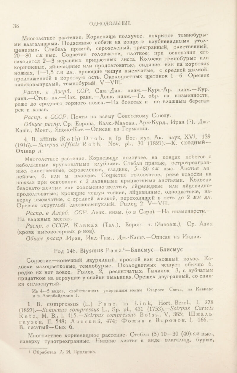 ОДНОДОЛЬНЫЕ Многолетнее растение. Корневище ползучее, покрытое темнобуры¬ ми влагалищами. Подземные побеги на конце с клубневидными утол¬ щениями. Стебель прямой, серозеленый, трехгранныи, олиственныи, 20-80 см выс. Соцветие головчатое, плотное; при основании его находится 2-3 неравных прицветных листа. Колоски темнооурые или коричневые, яйцевидные или продолговатые, сидячие или на коротких ножках 1—1,5 см дл.; кроющие чешуи выемчатые, с средней жилкои, продолженной в короткую ость. Околоцветных щетинок 1-6. Орешек плосковыпуклый, темнобурый. V ѵіь. Распр. в Азерб. ССР. Сам.-Див. низм.—Кура-Ар. низм.—Кур. равн,—Степ. пл.—Нах. равн.—Ленк. низм.—Гл. обр. на низменности, реже до среднего горного пояса.—На болотах и по влажным берегам рек и канав. Распр. в СССР. Почти по всему Советскому Союзу- Общее распр. Ср. Европа, Балк.-Малоаз., Арм-Курд., Иран (?), Дж.- Кашг., Монг., Японо-Кит. —Описан из Германии. 4. В. аШпі§ (К. о і Ь) О г о Ь. в Тр. Бот. муз. Ак. наук, XVI, (1916).— Зсігриз а^іпіз К о і Ь, Иоѵ. рі., 30 (1821). К. сходный — Охшар л. Многолетнее растение. Корневище ползучее, на концах побегов с небольшими кругловатыми клубнями. Стебли прямые, остротрехгран¬ ные, олиственные, серозеленые, гладкие, б 80 см выс. А ист и я ли нейные, б. или м. плоские. Соцветие головчатое, реже колоски на ножках’при основании с 2 длинными прицветными листьями. Колоски беловато-желтые или соломенно-желтые, яйцевидные или яйцевидно- продолговатые; кроющие чешуи тонкие, яйцевидные, одноцветные, на¬ верху выемчатые, с средней жилкой, переходящей вдеть до 2 ММ дл. Орешек округлый, двояковыпуклый. Рылец 2. V \ Ш. Распр• в Азерб. ССР. Аенк. низм. (о-в Сара). На низменности. На влажных местах. Распр. в СССР. Кавказ (Гал.), Ьвроп. ч. (Заволж.), Ср. Азия (кроме высокогорных р-нов). Общее распр. .Иран, Инд.-Рим,, Дж.-Кашг.—Описан из Индии. Род 146. Шузтпз Р а п г.1—Блисмус—Блисмус Соцветие—конечный двурядный, простой или сложный коде. Ко¬ лоски малоцветковые, темиобурые. Околоцветных чешуек обычно 6, редко их нет вовсе. Рылец 2, реснитчатых, і ычинок о, с зубчаты^, придатком на верхушке у спайки пыльника. Орешек двугранный, со спин ки сплюснутый. Из 4—5 видов, свойственных умеренным зонам Старого Света, на Кавказе и в Азербайджане 1. 1. В. сотрге5§іЛ5 (Б,) Р а п г. іп Б і п к, НогБ Вегоі., к 278 (1827).—Зскоепиз сотргеззиз Б., 5р. рі., 431 (1753).—Зсігриз Сагісіз к е і 2., М. В., Б 415.— Зсігриз сотргеззиз Воізз., V, 385; ББмаль- гаузен, II, 548; Липский, 474; Фомин и Воронов, I, 166. В. сжатый —Сых б. Многолетнее корневищное растение. Стебли (5) 10 30 (40) см выс., наверху тупотрехгранные. Нижние листья в виде влагалищ, бурые, 1 Обработал Л. И. Прилипко.