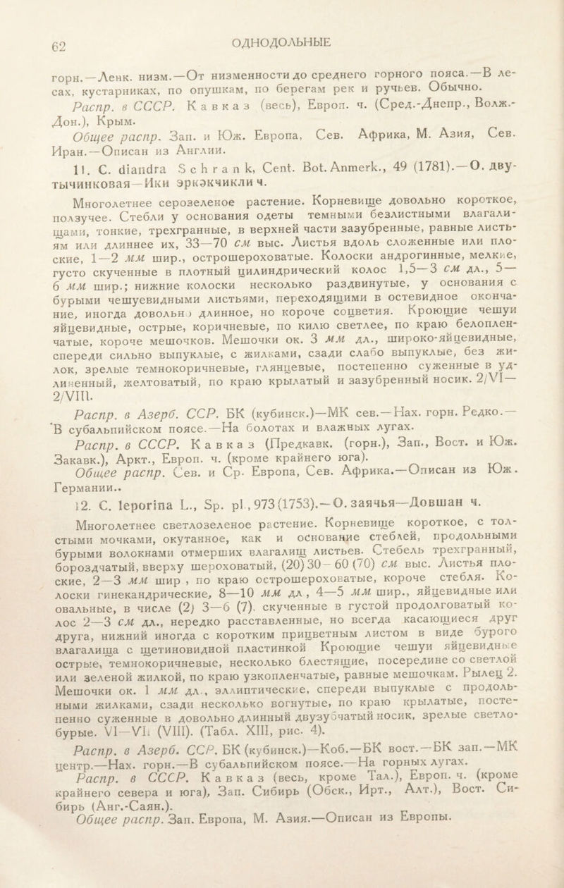 ОДНОДОЛЬНЫЕ горн.—Ленк. низм. —От низменности до среднего горного пояса.—В ле¬ сах, кустарниках, по опушкам, по берегам рек и ручьев. Обычно. Распр. в СССР. Кавказ (весь), Европ. ч. (Сред.-Днепр., Волж.- Дон.), Крым. Общее распр, Зап. и Юж. Европа, Сев. Африка, М. Азия, Сев. Иран. — Описан из Англии. 11. С. (ііапсІга 3 с Ь г а п к, Сепі. Воі. Аптегк., 49 (1781). —О. дву- тычинковая — Ики эркэкчиклич. Многолетнее серозеленое растение. Корневище довольно короткое, ползучее. Стебли у основания одеты темными безлистными влагали¬ щами, тонкие, трехгранные, в верхней части зазубренные, равные листь¬ ям или длиннее их, 33—70 см выс. Листья вдоль сложенные или пло¬ ские, 1—2 мм шир., острошероховатые. Колоски андрогинные, мелкие, густо скученные в плотный цилиндрический колос 1,о 3 см дл., 3 6 мм шир.; нижние колоски несколько раздвинутые, у основания с бурыми чешуевидными листьями, переходящими в остевидное оконча¬ ние, иногда довольна длинное, но короче соцветия. Кроющие чешуи яйцевидные, острые, коричневые, по килю светлее, по краю белоплен¬ чатые, короче мешочков. Мешочки ок. 3 мм дл., широко-яйцевидные, спереди сильно выпуклые, с жилками, сзади слано выпуклые, без жи¬ лок, зрелые темнокоричневые, глянцевые, постепенно суженные в уд¬ линенный, желтоватый, по краю крылатый и зазубренный носик. 2/\ I 2/ѴІП. Распр. в Азерб. ССР. БК (куби кск.)—МК сев. — Нах. горн. Редко. В субальпийском поясе. — На болотах и влажных лугах. Распр. в СССР. Кавказ (Предкавк. (горн.), Зап., Воет, и Юж. Закавк.), Аркт., Европ. ч. (кроме крайнего юга). Общее распр. Сев. и Ср- Европа, Сев. Африка, вписан из Юж. Германии.. 12. С. Іероппа Б., 5р. РІ, 973 (1753).—О. заячья—Довшан ч. Многолетнее светлозеленое растение. Корневище короткое, с тол¬ стыми мочками, окутанное, как и основание стеблей, продольными бурыми волокнами отмерших влагалищ листьев. Стебель трехгранныи, бороздчатый, вверху шероховатый, (20) 30— 60 (70) СМ выс. Зѵистья пло ские, 2—3 мм шир , по краю острошероховатые, короче^ стебля. По¬ лоски гинекандрические, 8—10 мм дл , 4 5 мм шир., яйцевидные или овальные, в числе (2) 3—6 (7), скученные в густой продолговатый ко¬ лос 2—3 см дл., нередко расставленные, но всегда касающиеся^ друг друга, нижний иногда с коротким прицветным листом в виде буроі1 влагалища с щетиновидиой пластинкой Кроющие чешуи яйцевиднь е острые, темиокоричневые, несколько блестящие, посередине со светлой или зеленой жилкой, по краю узкопленчатые, равные мешочкам. Р ылец 2. Мешочки ок. 1 мм дл., эллиптические, спереди выпуклые с продоль¬ ными жилками, сзади несколько вогнутые, по краю крылатые, посте¬ пенно суженные в довольно длинный двузуочатый носик, зрелые светло- бурые. VI—ѴІі (VIII). (Іабл. XIII, рис. 4). Распр. в Азерб. ССР. БК (кубинск.)—Коб. — БК воет. БК зап. МК центр.—Нах. горн.—В субальпийском поясе.—На горных лугах. Распр. в СССР. Кавказ (весь, кроме Іал.), Европ. ч. (кроме крайнего севера и юга), Зап. Сибирь (Обск., Ирт., Алт.), Воет. Си¬ бирь (Анг.-Саян.). Общее распр. Зап. Европа, М. Азия.—Описан из Европы.