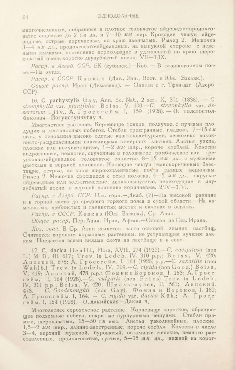 ОДНОДОЛЬНЫЕ многочисленные, собранные в плотное головчатое яйцевидно-продолго¬ ватое соцветие до 2 см дл. и 7 — 10 мм шир. Кроющие чешуи яйце¬ видные, острые, коричневые, по краю пленчатые. Рылец 2. Мешочки 3—4 мм д \., продолговато-яйцевидные, на выпуклой стороне с неяс¬ ными жилками, постепенно переходящие в удлиненный по краю шеро¬ ховатый очень коротко-двузубчатый носик. VII- 1/ІХ. Распр. в Азерб. ССР, БК (кубинск.) — Коб. — В высокогорном поя¬ се.—На лугах. Распр. в СССР. Кавказ (Даг., Зап., Воет, и Юж. Закавк.). Общее распр. Иран (Демавенд). — Описан с г. Тфан-даг (Азерб. ССР). 16. С. рас1іу$іу1і$ О а у, Апп. 5с. ПаБ, 2 зег., X, 301 (1838). — С. 5іепоркуііа ѵаг. ріапі^оііа Воізз., V, 400. —С. зіепоркуііа ѵаг. бе- зегіогит Ьдіѵ., А. Гроссгейм, I, 159 (1928). — О. толстостол¬ биковая—Йорунстунчуглу ч. Многолетнее растение. Корневище тонкое, ползучее, с пучками пло¬ дущих и листоносных побегов. Стебли трехгранные, гладкие, 7 —15 СМ выс., у основания высоко одетые каштаново-бурыми, несколько волок¬ нисто-расщепленными влагалищами отмерших листьев. Листья узкие, плоские или полусвернутые, 1 — 2 ММ шир., короче стеблей. Колоски андрогинные, немногие, скученные в головчатое ромбическое или тре- ѵгольно-яйцевидное головчатое соцветие 8—15 мм дл., с мужскими цветками в верхней половине. Кроющие чешуи темнокоричневые, блес¬ тящие, острые, по краю широкопленчатые, печати равные мешочкам. Рылец 2. Мешочки сросшиеся с осью колоска, 4—5 ММ дл., округло¬ яйцевидные или эллиптические, двояковыпуклые, переходящие в дву¬ зубчатый носик, в верхней половине коричневые. 2/1V—1/ѴІ. Распр. в Азерб. ССР. Нах. горн. — Диаб. (?) —На высокой равнине и в горной части до среднего горного пояса в сухой области.—На ка¬ менистых, щебнистых и глинистых местах и склонах и осыпях. Распр. 6 СССР. Кавказ (Юж. ЗакавкД, Ср. Азия. Общее распр. Пер. Азия, Иран, Афган. —Описан из Сев. Ирана. Хоз. зная. В Ср. Азии является часто основой зимних пастбищ. Считается хорошим кормовым растением, не уступающим лучшим зла¬ кам. Поедается всеми видами скота на пастбище и в сене. 17. С. гіасіса НеиШ., Ріога, XVIII, 274 (1935).—С. саезрііоза (поп Ь.) М. В., III, 617; Тгеѵ. іп ЬеВеЬ., IV, 310 р.р.; Воізз., V, 420; А и п с к и й, 678; А. Гроссгейм, 1. 164 (1928) р.р.—С. захаШіз (поп \ѴаЫЪ.) Тгеѵ. ІпБесІеЪ., IV, 309. — С. гіріба (поп С о о 3.) В о і з з., V, 419; Л и п с к и й, 478 р.р.; Ф о м и к и В о р о н о в, I, 183; А. Г р о с с- гейм, I, 164 (1928). — С. ѵиірагіз (поп Ргіез) Тгеѵ. іп ЬеЗеЬ, IV, 311 р.р.; Воізз., V, 420; Шмальгаузен, II, 561; Липский, 478. — С. Сообепоиркіі (поп Сау), Фомин и Воронов, I, 182; А. Гроссге й м, I, 164. — С. гіріба ѵаг. басіса К 1і к.; А. Гросс¬ гейм, I, 164 (1928).—О. дакийская—Дакия ч. Многолетнее серозеленое растение. Корневище короткое, образую¬ щее подземные побеги, покрытые пурпурными чешуями. Стебли пря¬ мые, шероховатые, 15—50 см выс. Листья узколинейные, плоские, 1,5—2 мм шир., длинно-заостренные, короче стебля. Колоски в числе 3—4, верхний мужской, буроватый, остальные женские, немного рас¬ ставленные, продолговатые, густые, 5—15 мм дл., нижний на корот-