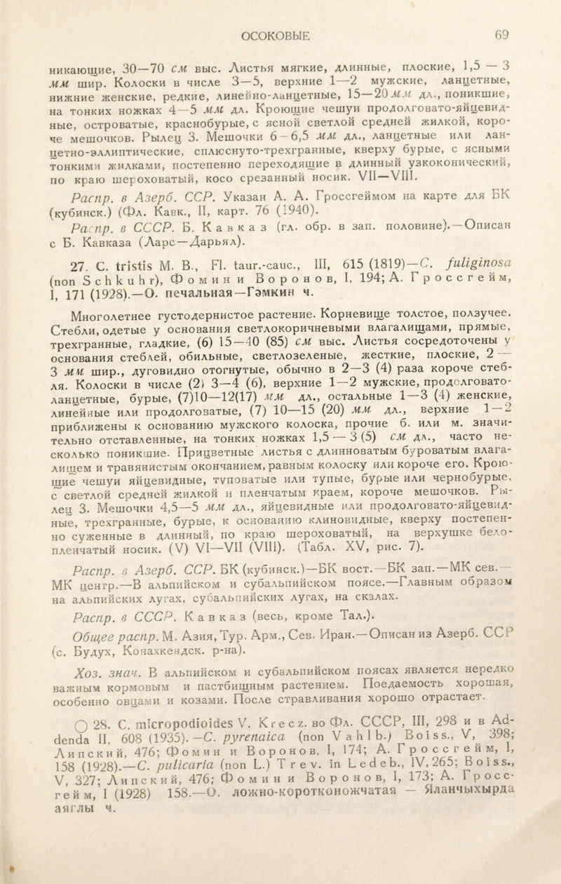 никающие, 30 — 70 СМ выс. Листья мягкие, длинные, плоские, 1,5 — 3 ММ шир. Колоски в числе 3 — 5, верхние 1 2 мужские, ланцетные, нижние женские, редкие, линейно-ланцетные, 15 20 ММ дл., поникшие, на тонких ножках 4—5 мм дл. Кроющие чешуи продолі овато-яицевид- ные, островатые, краснобурые, с ясной светлой средней жилкой, коро¬ че мешочков. Рылец о. Мешочки 6 6,5 ММ дл., ланцетные или лан цетно-эллиптические, сплюснуто-трехгранные, кверху бурые, с ясными тонкими жилками, постепенно переходящие в длинный узкоконическчй, по краю шероховатый, косо срезанный носик. VII VIII. Распр. в Лзерб. ССР. Указан А. А. Гроссгеймом на карте для ЬК (кубинск.) (Фл. Кавк., II, карт. 76 (1940). Распр. в СССР. Б. Кавказ (гл. обр. в зап. половине). —Описан с Б. Кавказа (Ларе — Дарьял). 27. С. ІГІ8ІІ5 М. В., РІ. іаиг.-саис., III, 615 (1819)—С. /иіі^іпоза (поп ЗсЬкиЬг), Фомин и В о р о н о в, I, 194; А. Гроссгейм, I, 171 (1928).—О. печальная—Гэмкин ч. Многолетнее густодернистое растение. Корневище толстое, ползучее. Стебли, одетые у основания светлокоричневыми влагалищами, прямые, трехгранные, гладкие, (6) 15—40 (85) см выс. Листья сосредоточены у основания стеблей, обильные, светлозеленые, жесткие, плоские, 2 3 мм шир., дуговидно отогнутые, обычно в 2 3 (4) раза короче стеб¬ ля. Колоски в числе (2) 3—4 (6), верхние 1—2 мужские, продолговато¬ ланцетные, бурые, (7)10—12(17) мм дл., остальные 1—3 (4) женские, линейные или продолговатые, (7) 10 15 (20) мм дл., верхние 1 — 2 приближены к основанию мужского колоска, прочие б. или м. значи¬ тельно отставленные, на тонких ножках 1,5 5 (5) см дл., часто не сколько поникшие. Прицветные листья с длинноватым буроватым влага¬ лищем и травянистым окончанием, равным колоску или короче его. Крою¬ щие чешуи яйцевидные, туповатые или тупые, бурые или чернобурые, с светлой соедней жилкой и пленчатым краем, короче мешочков. Р лец 3. Мешочки 4,5—5 мм дл., яйцевидные или продолговато-яйцевид¬ ные, трехгранные, бурые, к основанию клиновидные, кверху постепен¬ но суженные в длинный, по краю шероховатый, на верхушке бело - пленчатый носик. (V) VI—VII (VIII). (Табл. X'/, рис. 7). Распр. в Азерб. ССР. БК (кубинск.)—БК воет.—БК зап. —МК сев.— МК центр.—В альпийском и субальпийском поясе.—Главным образом на альпийских лугах, субальпийских лугах, на скалах. Распр. в СССР. Кавказ (весь, кроме Тал.). Общее распр. М. Азия, Тур. Арм., Сев. Иран.—Описан из Азерб. ССР (с. Будух, Конахкендск. р-на). Хоз. зная. В альпийском и субальпийском поясах является нередко важным кормовым и пастбищным растением. Поедаемость хорошая, особенно овцами и козами. После стравливания хорошо отрастает. О 28. С. шісгоросііоісіез V. Кгесг. во Фл. СССР, III, 298 и в Асі- Зепба II, 608 (1935).-С. ругепаіса (поп ѴаЫЬ.) Воізз., V, 398; Ли пеки й, 476; Фомин и Воронов, I, 174; А. Г р о с с г ей м, 1, 158 (1928).—С. риіісагіа (поп Ь.) Т г е ѵ. іп БесіеЬ., IV, 265; Ьоізз., V, 327; Л и п с к и й, 476; Ф о м и н и Воронов,!, 173; А. Гросс¬ гейм, I (1928) 158.—О. ложпо-коротконожчатая — Уйланчыхырда аяглы ч.