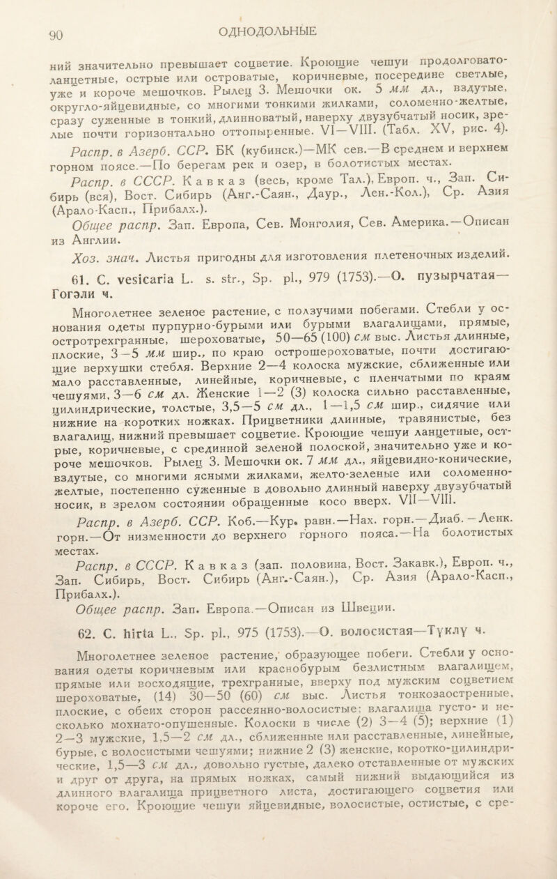 ОДНОДОЛЬНЫЕ ний значительно превышает соцветие. Кроющие чешуи продолговато¬ ланцетные, острые или островатые, коричневые, посередине светлые, уже и короче мешочков. Рылец 3. Мешочки ок. э ММ дл., вздутые, округло-яйцевидные, со многими тонкими жилками, соломенно-желтые, сразу суженные в тонкий, длинноватый, наверху двузубчатый носик, зре¬ лые почти горизонтально оттопыренные. VI —VIII. (Табл. XV, рис. 4). Распр. в Азерб. ССР. БК (кубинск.)—МК сев.—В среднем и верхнем горном поясе.—По берегам рек и озер, в болотистых местах. Распр. в СССР. Кавказ (весь, кроме Тал.), Бшроп. ч., Зап. Си- бирь (вся), Воет. Сибирь (Анг.-Саян., Даур., Лен.-Кол.), Ср. Азия (Арало-Касп., Прибалх.). Общее распр. Зап. Европа, Сев. Монголия, Сев. Америка. Описан из Англии. Хоз. зная. Листья пригодны для изготовления плетеночных изделий. 61. С. ѵеИсагіа Е. з. зіг,, 5р. рі., 979 (1753).—О. пузырчатая Гогэли ч. Многолетнее зеленое растение, с ползучими побегами. Стебли у ос¬ нования одеты пурпурно-бурыми или бурыми влагалищами, прямые, остротрехгранные, шероховатые, 50 65 (100) см выс. Листья длинные, плоские, 3-5 ММ шир., по краю острошероховатые, почти достигаю¬ щие верхушки стебля. Верхние 2—4 колоска мужские, сближенные или мало расставленные, линейные, коричневые, с пленчатыми по краям чешуями, 3—6 см дл. Женские 1—2 (3) колоска сильно расставленные, цилиндрические, толстые, 3,5—5 см дл., 1 1,5 см шир., сидячие или нижние на коротких ножках. Прицветники длинные, травянистые, без влагалищ, нижний превышает соцветие. Кроющие чешуи ланцетные, ост¬ рые, коричневые, с срединной зеленой полоской, значительно уже и ко роче мешочков. Рылец 3. Мешочки ок. 7 ММ дл., яйцевидно-конические, вздутые, со многими ясными жилками, желто-зеленые или соломенно- желтые, постепенно суженные в довольно длинный наверху двузубчатый носик, в зрелом состоянии обращенные косо вверх. VII ѴІІІ. Распр. в Азерб. ССР. Коб.—Кур» равн.—Нах. горн.—Диаб. — Ленк. горн.—От низменности до верхнего горного пояса. На болотистых местах. Распр. в СССР. Кавказ (зап. половина, Воет. Закавк.), іевроп. ч., Зап. Сибирь, Воет. Сибирь (Анг.-Саян.), Ср- Азия (Арало-Касп., Прибалх.). Общее распр. Зап. Европа,—Описан из Швеции. 62. С. Ыгіа Ь., 5Р. рі, 975 (1753).—О. волосистая—Туклу ч. Многолетнее зеленое растение,' образующее побеги. Стебли у осно¬ вания одеты коричневым или краснобурым безлистным влагалищем, прямые или восходящие, трехгранные, вверху под мужским соцветием шероховатые, (14) 30—50 (60) см выс. Листья тонкозаостренные, плоские, с обеих сторон рассеянно-волосистые; влагалища густо- и не¬ сколько мохнато-опушенные. Колоски в числе (2) 3 — 4 (5); верхние (1) 2—3 мужские, 1,5—2 см дл., сближенные или расставленные, линейные, бурые, с волосистыми чешуями; нижние 2 (3) женские, коротко-цилиндри¬ ческие, 1,5—3 см дл., довольно густые, далеко отставленные от мужских и друг от друга, на прямых ножках, самый нижний выдающийся из длинного влагалища прицветного листа, достигающего соцветия или короче его. Кроющие чешуи яйцевидные, волосистые, остистые, с ере-