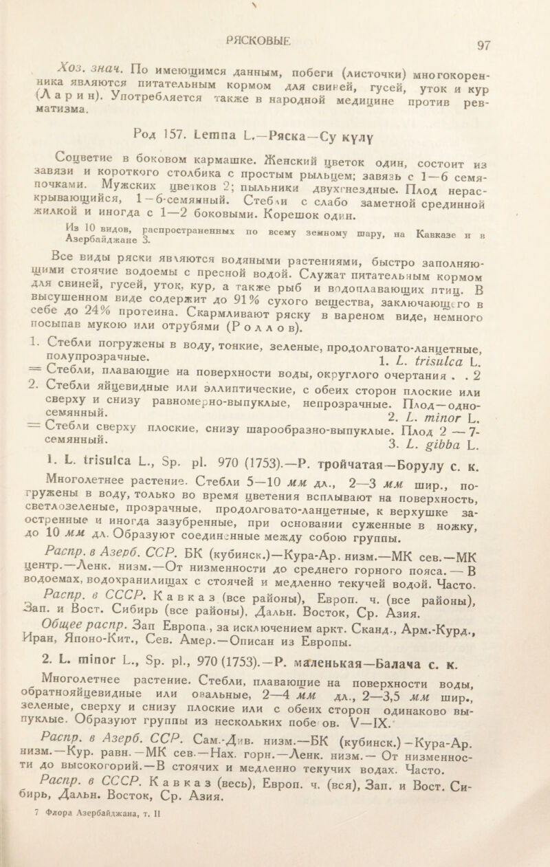 РЯСКОВЫЕ 97 Хоо. зная. По имеющимся данным, побеги (листочки) многокорен¬ ника являются питательным кормом для свиней, гусей, уток и кур !Л а р и н). Употребляется также в народной медицине против рев- мзтизмз. Род 157. і-етпа С,—Ряска—Су кулу Соцветие в боковом кармашке. Женский цветок один, состоит из завязи и короткого столбика с простым рыльцем; завязь с 1—6 семя¬ почками. Мужских цвеіков 2; пыльники двухгнездные. Плод нерас- крывающиися, 1 - 6-семянный. Стебли с слабо заметной срединной жилкой и иногда с 1—2 боковыми. Корешок один. '?Ѵ±7Л0В- РаспР°стРаневны* по всему земному шару, на Кавказе и в лзероаиджане о. Вее виды ряски явуяются водяными растениями, быстро заполняю¬ щими стоячие водоемы с пресной водой. Служат питательным кормом для свинеи, гусей, уток, кур, а также рыб и водоплавающих птиц. В высушенном виде содержит до 91% сухого вещества, заключающего в се0е ло 2./о протеина. Скармливают ряску в вареном виде, немного посыпав мукою или отрубями (Р о л л о в). 1. Стебли погружены в воду, тонкие, зеленые, продолговато-ланцетные полупрозрачные. | /_ ігішіса у — Стеоли, плавающие на поверхности воды, округлого очертания . . 2 2. Стебли яйцевидные или эллиптические, с обеих сторон плоские или сверху и снизу равномерно-выпуклые, непрозрачные. Плод—одно¬ семянный. 2. I. тіпог Ь, Стебли сверху плоские, снизу шарообразно-выпуклые. Плод 2 — 7- семянный. 3. і §ІЬЬа ь 1. I. ігізиіса Зр. Рі. 970 (1753).-Р. тройчатая-Борулу с. к. Многолетнее растение. Стебли 5-10 мм дл„ 2—3 мм шир., по- гружены в воду, только во время цветения всплывают на поверхность, светлозеленые, прозрачные, продолговато-ланцетные, к верхушке за- остР~ и иногда зазубренные, при основании суженные в ножку, до 10 мм ДА. Образуют соединенные между собою группы. Распр. в Азерб. ССР. БК (кубинск.)—Кура-Ар. низм.—МК сев.—МК центр. Ленк. низм.—От низменности до среднего горного пояса. — В водоемах, водохранилищах с стоячей и медленно текучей водой. Часто. Распр. в СССР. Кавказ (все районы), Европ. ч. (все районы), сзап. и оост. Сибирь (все районы), Дальн. Восток, Ср. Азия. Общее распр. Зап Европа , за исключением аркт. Сканд., Арм.-Курд., гсран, Японо-кит., Сев. Амер. — Описан из Европы. 2. Е. тіпог Ь., Зр. р]., 970 (1753). —Р. маленькая—Балача с. к. Многолетнее растение. Стебли, плавающие на поверхности воды, ооратнояйцевидные или овальные, 2—4 мм дл., 2—3,5 мм шир,, зеленые, сверху и снизу плоские или с обеих сторон одинаково вы¬ пуклые. Образуют группы из нескольких побе ов. V—IX. Распр. в Азерб. ССР. Сам.-Див. низм.—БК (кубинск.)-Кура-Ар низм. Кур. равн.-МК сев.-Нах. горн.-Денк. низм.- От низменнос¬ ти до высокогорий. —В стоячих и медленно текучих водах. Часто. Распр. в СССР. Кавказ (весь), Европ. ч. (вся), Зап. и Воет. Си¬ бирь, Дальн. Восток, Ср. Азия.