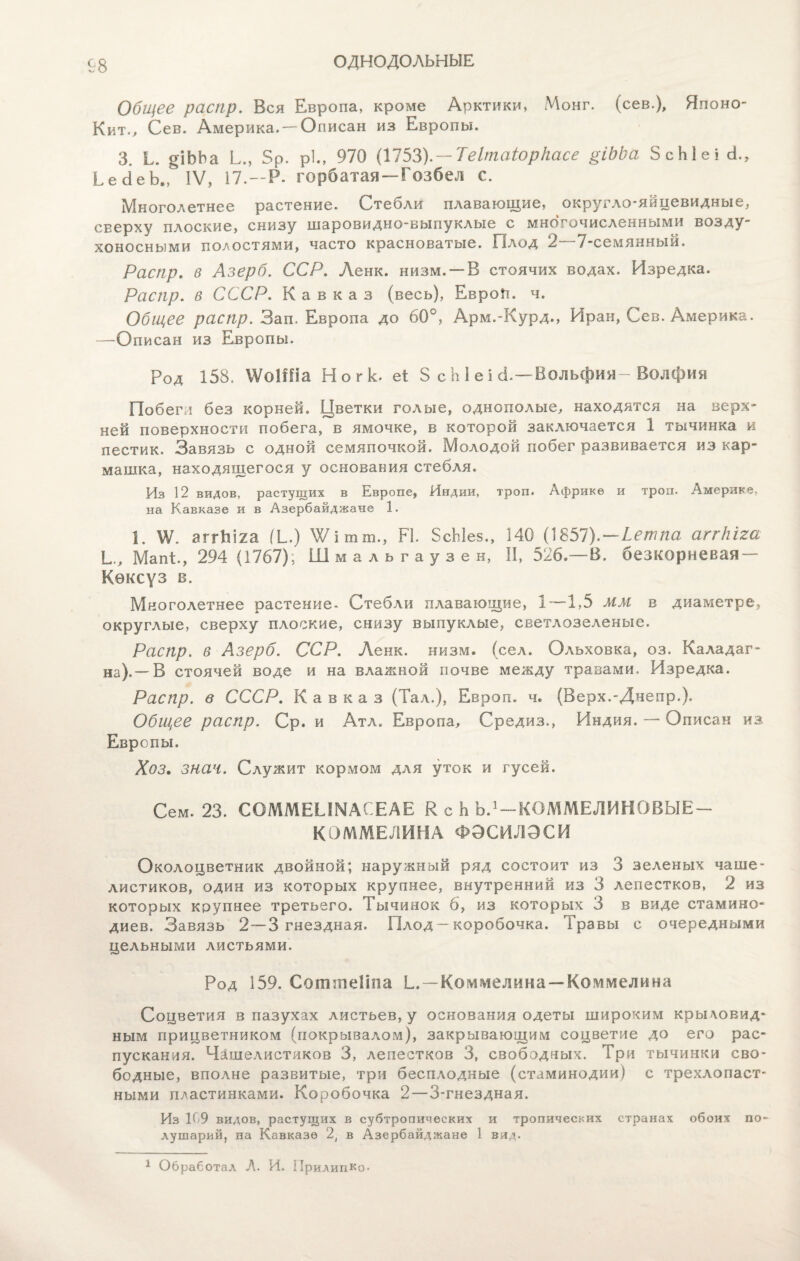 ОДНОДОЛЬНЫЕ Общее распр. Вся Европа, кроме Арктики, Монг. (сев.), Японо- Кит., Сев. Америка. — Описан из Европы. 3. Ь. §іЬЬа Ь., 5р. рі., 970 (1753). — ТеІтаіоркасе ріЬЬа ЗсЫеі Я., ЬесІеЬ., IV, 17.—Р. горбатая—Гозбел с. Многолетнее растение. Стебли плавающие, округло-яйцевидные, сверху плоские, снизу шаровидно-выпуклые с многочисленными возду¬ хоносными полостями, часто красноватые. Плод 2 7-семянный. Распр. в Азерб. ССР. Ленк. низм. — В стоячих водах. Изредка. Распр. в СССР. Кавказ (весь), ЕвроТт. ч. Общее распр. Зап. Европа до 60°, Арм.-Курд., Иран, Сев. Америка. —-Описан из Европы. Род 158. \ѴоШіа Но г к. еі 5 с Ь і е і сі.—Вольфии- Волфия Побег,і без корней. Цветки голые, однополые, находятся на верх¬ ней поверхности побега, в ямочке, в которой заключается 1 тычинка и пестик. Завязь с одной семяпочкой. Молодой побег развивается из кар¬ машка, находящегося у основания стебля. Из 12 видов, растущих в Европе, Индии, троп. Африке и троп. Америке, на Кавказе и в Азербайджане 1. 1. \Ѵ. аггЫіа (і_.) Ѵ/Чтт., РІ. 5сЫез., 140 (1857).—Ьетпа аггкіга Ь., МапЕ, 294 (1767); Шмальгаузен, II, 526.—В. безкорневая — Кѳксуз в. Многолетнее растение- Стебли плавающие, 1—1,5 мм в диаметре, округлые, сверху плоские, снизу выпуклые, светлозеленые. Распр. в Азерб. ССР. Ленк. низм. (сел. Ольховка, оз. Каладаг- на).—В стоячей воде и на влажной почве между травами. Изредка. Распр. в СССР. Кавказ (Тал.), Европ. ч. (Верх.-Днепр.). Общее распр. Ср. и Атл. Европа, Средиз., Индия. — Описан из Европы. Хоз. знач. Служит кормом для уток и гусей. Сем. 23. СОММЕЫМАСЕАЕ В с Ь Ь.1 —КОММЕДИНОВЫЕ- КОММЕЛИНА Ф0СИЛЭСИ Околоцветник двойной; наружный ряд состоит из 3 зеленых чаше¬ листиков, один из которых крупнее, внутренний из 3 лепестков, 2 из которых крупнее третьего. Тычинок 6, из которых 3 в виде стамино¬ диев. Завязь 2—3 гнездная. Плод — коробочка. Травы с очередными цельными листьями. Род 159. Соішпеііоа — Комаделина — Коммелина Соцветия в пазухах листьев, у основания одеты широким крыловид¬ ным прицветником (покрывалом), закрывающим соцветие до его рас¬ пускания. Чашелистиков 3, лепестков 3, свободных. Три тычинки сво¬ бодные, вполне развитые, три бесплодные (стаминодии) с трехлопаст¬ ными пластинками. Коробочка 2—3-гнездная. Из 109 видов, растущих в субтропических и тропических странах обоих по¬ лушарий, па Кавказе 2, в Азербайджане 1 вид. 1 Обработал Л. И. Прилиико*