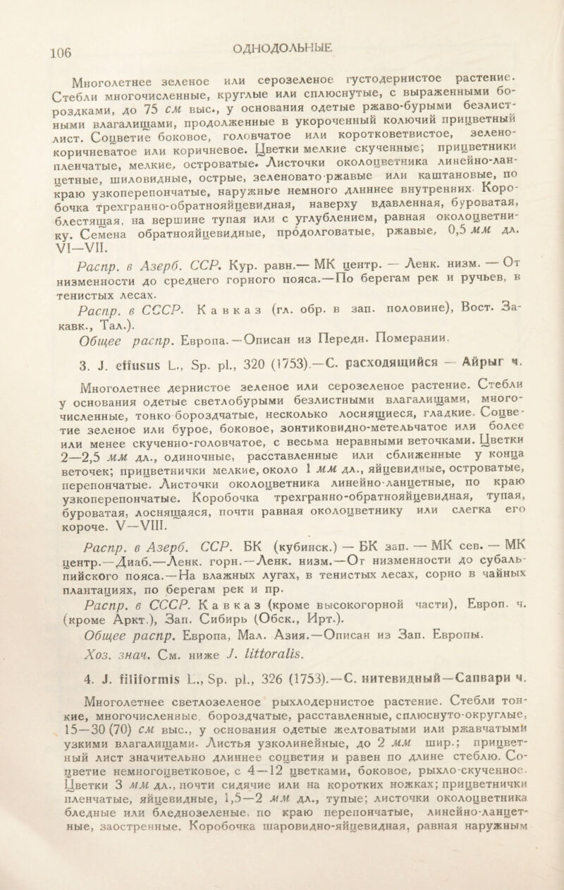 ОДНОДОЛЬНЫЕ Многолетнее зеленое или серозеленое густодернистое растение. Стебли многочисленные, круглые или сплюснутые, с выраженными бо роздками, до 75 СМ вью., у основания одетые ржаво-бурыми безлист¬ ными влагалищами, продолженные в укороченный колючий прицветныи лист. Соцветие боковое, головчатое или коротковетвистое, зелено¬ коричневатое или коричневое. Цветки мелкие скученные; прицветники пленчатые, мелкие, островатые. Листочки околоцветника линейно-лан¬ цетные, шиловидные, острые, зеленовато ржавые или каштановые, по краю узкоперепончатые, наружные немного длиннее внутренних. Коро¬ бочка трехгранно-обратнояйцевидная, наверху вдавленная, буроватая, блестящая, на вершине тупая или с углублением, равная околоцветни ку. Семена обратнояйцевидные, продолговатые, ржавые, 0,5 мм да. VI—VII. Распр. в Азерб. ССР. Кур. равн.-— МК центр. — Ленк. низм. От низменности до среднего горного пояса.' -По берегам рек и ручьев, в тенистых лесах. Распр. в СССР. Кавказ (гл. обр. в заи. половине), Воет. За- кавк., Тал.). Общее распр. Европа.—Описан из Передн. Померании. 3. Е еШші§ и 5р. Р1., 320 (1753)-С. расходящийся - Айрыг ч. Многолетнее дернистое зеленое или серозеленое растение. Стебли у основания одетые светлобурыми безлистными влагалищами, много¬ численные, тонко бороздчатые, несколько лоснящиеся, гладкие. Соцве¬ тие зеленое или бурое, боковое, зонтиковидно-метельчатое или более или менее скученно-головчатое, с весьма неравными веточками. Цветки 2—2,5 мм дл., одиночные, расставленные или сближенные у конца веточек; прицветнички мелкие, около 1 мм дл., яйцевидные, островатые, перепончатые. .Листочки околоцветника линейно-ланцетные, по краю узкоперепончатые. Коробочка трехгранно-обратнояйцевидная, тупая, буроватая, лоснящаяся, почти равная околоцветнику или слегка его короче. V—VIII. Распр. е Азерб. ССР. БК (куб и иск.) — БК зап. — МК сев. — МК центр.—Диаб.—-Ленк. горн. — Ленк. низм.—Ог низменности до субаль¬ пийского пояса. —На влажных лугах, в тенистых лесах, сорно в чайных плантациях, по берегам рек и пр. Распр. 6 СССР. Кавказ (кроме высокогорной части), Европ. ч. (кроме Аркт.), Зап. Сибирь (Обск., Ирт.). Обш,ее распр. Европа, Мал. Азия. —Описан из Зап. Европы. Хоз. знак. См. ниже ^. Шіогаііз, 4. 3. ІіШопіш Е., 5р. рі., 326 (1753). — С. нитевидный —Сапвари ч. Многолетнее светлозеленое рыхлодернистое растение. Стебли тон¬ кие, многочисленные, бороздчатые, расставленные, сплюснуто-округлые, 15—30(70) СМ выс., у основания одетые желтоватыми или ржавчатыми узкими влагалищами. Листья узколинейные, до 2 ММ шир.; прицвет- ный лист значительно длиннее соцветия и равен по длине стеблю. Со¬ цветие немногоцветковое, с 4—12 цветками, боковое, рыхло-скученное. Цветки 3 ММ дл., почти сидячие или на коротких ножках; прицветнички пленчатые, яйцевидные, 1,5—2 мм дл., тупые; листочки околоцветника бледные или бледнозеленые, по краю перепончатые, линейно-ланцет¬ ные, заостренные. Коробочка шаровидно-яйцевидная, равная наружным