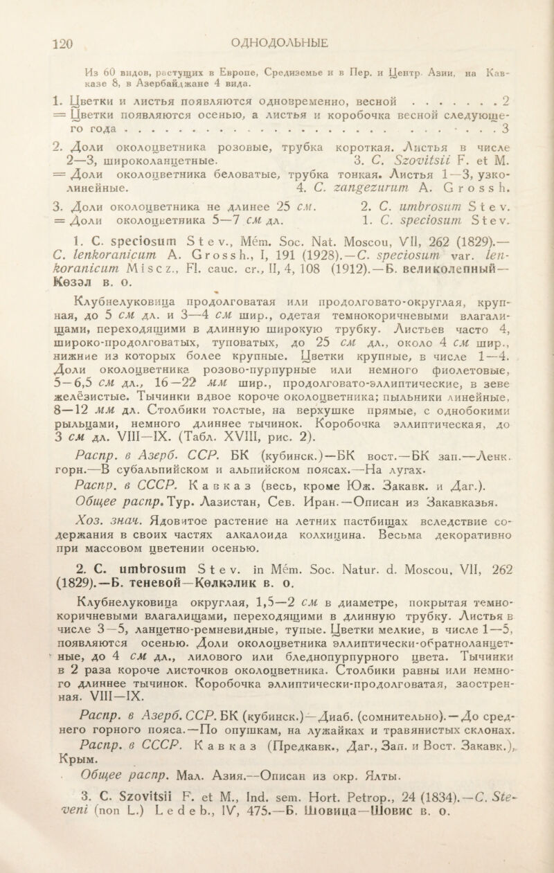 Из 60 видов, растущих в Европе, Средиземье и в Пер. и Центр. Азии, на Кав¬ казе 8, в Азербайджане 4 вида. 1. Цветки и листья появляются одновременно, весной.2 = Цветки появляются осенью, а листья и коробочка весной следующе¬ го года.• . . . 3 2. Доли околоцветника розовые, трубка короткая. Листья в числе 2—3, широколанцетные. 3. С. Огоѵіізіі Р. еі М. = Доли околоцветника беловатые, трубка тонкая. Листья 1—3, узко¬ линейные. 4. С. гап&егигит А. С г о з з Ь. 3. Доли околоцветника не длинее 25 см. 2. С. птЬгошт 5 г е ѵ. = Доли околоцветника 5—1 см да. 1. С. 8ресІ08ііт 5іеѵ, 1. С. 5ресІ05ііт 5і е ѵ., Мёт. 5ос. ЦаЕ Мозсои, VII, 262 (1829).— С. Іепкогапісит А. СгоззЬ., I, 191 (1928).-— С. зресіозит ѵаг. Іеп- когапісшп Мізсг., Р1. саис. сг., II, 4, 108 (1912). —Б. великолепный — Кѳзэл в. о. Клубнелуковица продолговатая или продолговато-округлая, круп¬ ная, до 5 см да. и 3—4 см шир., одетая темнокоричневыми влагали¬ щами, переходящими в длинную широкую трубку. Листьев часто 4, широко-продолговатых, туповатых, до 25 см да., около 4 см шир., нижние из которых более крупные. Цветки крупные, в числе 1—4. Доли околоцветника розово-пурпурные или немного фиолетовые, 5—6,5 см да., 16—22 мм шир., продолговато-эллиптические, в зеве железистые. Тычинки вдвое короче околоцветника; пыльники линейные, 8—12 мм да. Столбики толстые, на верхушке прямые, с однобокими рыльцами, немного длиннее тычинок. Коробочка эллиптическая, до 3 СМ да. VIII—IX. (Табл. XVIII, рис. 2). Распр. в Азерб. ССР. БК (к у б и н с к.)—Б К воет. — БК зап.—Ленк. горн.—-В субальпийском и альпийском поясах.—На лугах. Распр. в СССР. Кавказ (весь, кроме Юж. Закавк. и Даг.). Общее распр* Тур. Лазистан, Сев. Иран.—Описан из Закавказья. Хоз. зная. Ядовитое растение на летних пастбищах вследствие со¬ держания в своих частях алкалоида колхицина. Весьма декоративно при массовом цветении осенью. 2. С. итЬго8ит 5 1 е ѵ. іп Мёт. 5ос. Иаіиг. 3. Мозсои, VII, 262 (1829).—Б. теневой—Кѳлкэлик в. о. Клубнелуковица округлая, 1,5—2 см в диаметре, покрытая темно- коричневыми влагалищами, переходящими в длинную трубку. Листья в числе 3—5, ланцетно-ремневидные, тупые. Цветки мелкие, в числе 1—5, появляются осенью. Доли околоцветника эллиптически-обратноланцет- ыые, до 4 см да.у лилового или бледнопурпурного цвета. Тычинки в 2 раза короче листочков околоцветника. Столбики равны или немно¬ го длиннее тычинок. Коробочка эллиптически-продолговатая, заострен¬ ная. VIII—IX. Распр. в Азерб. ССР. БК (кубинск.)—Диаб. (сомнительно).— До сред¬ него горного пояса.—По опушкам, на лужайках и травянистых склонах. Распр. в СССР. Кавказ (Предкавк., Даг., Зап. и Воет. Закавк.), Крым. Общее распр. Мал. Азия.—Описан из окр. Ялты. 3. С. 520ѴІІ5ІІ Р. еі М., ІпЗ. зет. Ногі. Реігор., 24 (1834). — С.Сіе~ ѵепі (поп Б.) Б е 3 е Ь., IV, 475.—Б. Шовица—Шовис в. о.