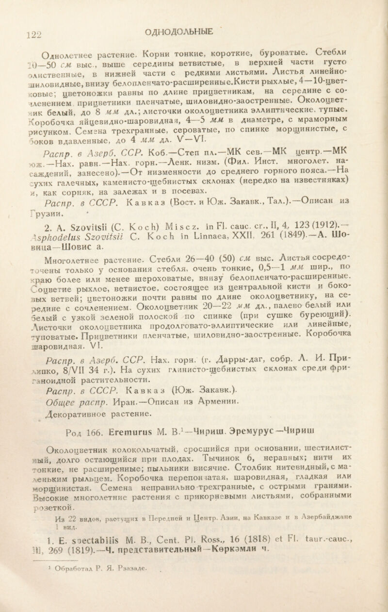 ОДНОДОЛЬНЫЕ Однолетнее растение. Корни тонкие, короткие, буроватые. Стебли - і)_50 см выс., выше середины ветвистые, в верхней части густо ©лиственные, в нижней части с редкими листьями. Листья линейно¬ шиловидные, внизу белоплеечато-расширенкые.Кисти рыхлые, 4—10-цвет- ішвые; цветоножки равны по длине прицветникам, на середине с со¬ членением прицветники пленчатые, шиловидно-заостренные. Околоцвет ѵИК белый, до 8 мм дл.; листочки околоцветника эллиптические, тупые. Коробочка яйцевидно-шаровидная, 4—5 мм в диаметре, с мраморным рисунком. Семена трехгранные, сероватые, по спинке морщинистые, с Іоков вдавленные, до 4 мм дл. V VI. Распр. в Азерб. ССР. Коб.—Степ пл.—МК сев.—МК центр.—МК юж.—Нах. равн. — Нах. горн.—Ленк. иизм. (Фил. Инст. многолет. на¬ саждений, занесено). —От низменности до среднего горного пояса.—На сухих галечных, каменисто-щебнистых склонах (нередко на известняках) и, как сорняк, на залежах и в посевах. Распр. в СССР. Кавказ (Воет, и Юж. Закавк., Тал.). Описан из Грузии. 2. А. §20ѵіі$іі (С. КосЬ) М і 8с 2. іп Н. еаис. сг.,11, 4, 123 (1912). Азркойеіиз ЗгоѵіШі С. КосЬ іп Ілппаеа, XXII, 261 (1849).—А. Шо- вица—Шовис а. Многолетнее растение. Стебли 26—40 (50) СМ выс. Листья сосредо¬ точены только у основания стебля, очень тонкие, 0,5 1 ММ шир., по краю более или менее шероховатые, внизу белопленчато-расширенные. Соцветие рыхлое, ветвистое, состоящее из центральной кисти и боко¬ вых ветвей; цветоножки почти равны по длине околоцветнику, на се¬ редине с сочленением. Околоцветник 20 22 мм дл., палево белый или белый с узкой зеленой полоской по спинке (при сушке буреющий). Листочки околоцветника продолговато-эллиптические или линейные, туповатые. Прицветники пленчатые, шиловидно-заостренные. Коробочка шаровидная. VI. Распр. в Азерб. ССР. Нах. горн. (г. Дарры-даг, собр. Л. И. При- липко, 8/ѴІІ 34 г.). На сухих глинисто-щебнистых склонах среди фри- ганоидной растительности. Распр. в СССР. Кавказ (Юж. Закавк.). Общее распр. Иран.—Описан из Армении. Декоративное растение. Род 166. Егетигих М. В.1—Чириш. Эремурус —Чириш Околоцветник колокольчатый, сросшийся при основании, шестилист ный, долго остающийся при плодах. Тычинок 6, неравных; нити их тонкие, не расширенные; пыльники висячие. Столбик нитевидный, с ма¬ леньким рыльцем. Коробочка перепончатая, шаровидная, гладкая или морщинистая. Семена неправильно трехгранные, с острыми гранями. Высокие многолетние растения с прикорневыми листьями, собранными розеткой. Из 22 видов, растущих в Передней и Центр. Азии, на Кавказе и в Азербайджане 1 вид. 1. Е. 50ес1аЬНІ5 М. В., Сепі. РІ. Во55„ 16 (1818) еі РІ. іаиг.-саис., 31, 269 (1819).—Ч. представительный -Кѳркэмли ч. 3 Обработал Р. Я. Рзазаде.