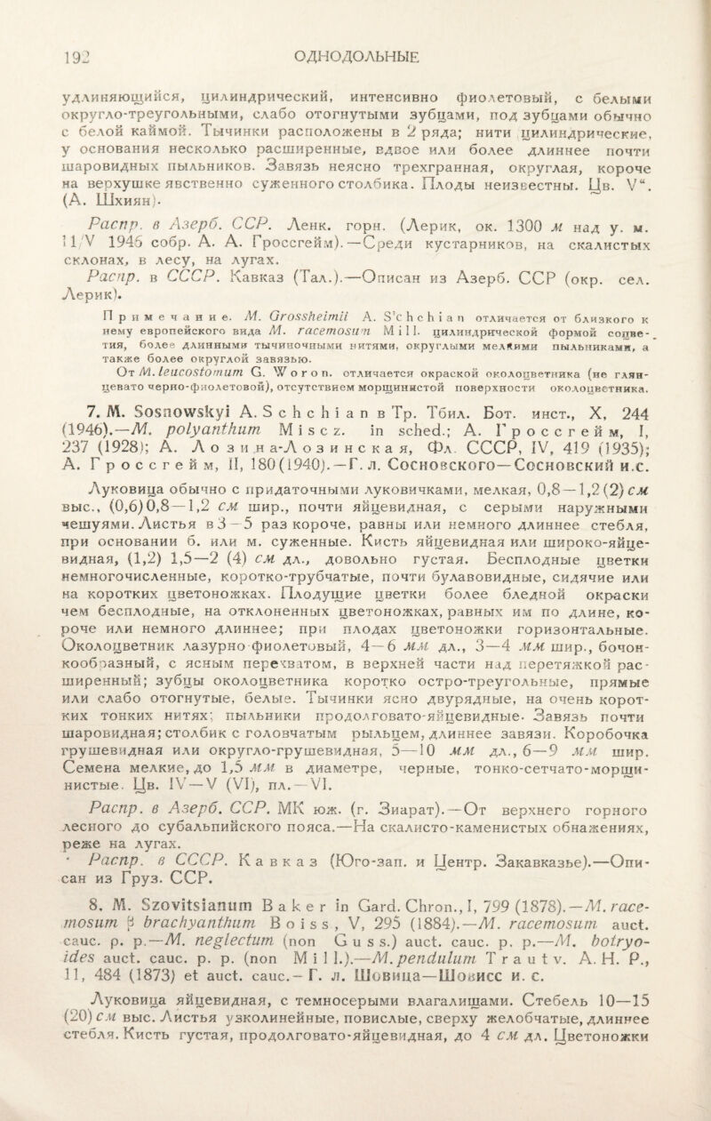 удлиняющийся, цилиндрический, интенсивно фиолетовый, с белыми округло-треугольными, слабо отогнутыми зубцами, под зубцами обычно с белой каймой. Іычинки расположены в 2 ряда; нити цилиндрические, у основания несколько расширенные, вдвое или более длиннее почти шаровидных пыльников. Завязь неясно трехгранная, округлая, короче на верхушке явственно суженного столбика. Плоды неизвестны. Цв. Vй. (А. Шхиян). Распр. в Азерб. ССР. Ленк. горн. (Лерик, ок. 1300 м над у. м. 11/Ѵ 1945 собр. А. А. I россгейм).—Среди кустарников, на скалистых склонах, в лесу, на лугах. Распр. в СССР. Кавказ (Тал.).—Описан из Азерб. ССР (окр. сел. Лерик). Примечание. М. Огоззкеітіі А. З’с Ь с Ь і а п отличается от близкого к нему европейского вида М. гасетозіѵп М і 11. цилиндрической формой соцве¬ тия, более длинным» тычиночными нитями, округлыми мел*ими пыльниками, а также более округлой завязью. От М. ІеіІСОЗІОтит О. 'У о г о п. отличается окраской околоцветника (не глян¬ цевато черно-фиолетовой), отсутствием морщинистой поверхности околоцветника. 7. М. 8о$поду§куі А. ЗсЬсЬіап в Гр. 1 бил. Бот. инст., X, 244 (1946).-— М. роіуапікит М і з с 2. іп зсЬесі.; А. Г россгейм, I, 237 (1928); А. Лоз и н а-Л озинская, Фл. СССР, IV, 419 (1935); А. Г р о с с г е й м, II, 180(1940). — Г. л. Сосновского—Сосновский и,с. Луковица обычно с придаточными луковичками, мелкая, 0,8 — \,2{*2)см зыс,, (0,6) 0,8—1,2 см шир., почти яйцевидная, с серыми наружными чешуями. Листья в 3—5 раз короче, равны или немного длиннее стебля, при основании б. или м. суженные. Кисть яйцевидная или широко-яйце¬ видная, (1,2) 1,5—2 (4) см дл., довольно густая. Бесплодные цветки немногочисленные, коротко-трубчатые, почти б}ллавовидные, сидячие или на коротких цветоножках. Плодущие цветки более бледной окраски чем бесплодные, на отклоненных цветоножках, равных им по длине, ко¬ роче или немного длиннее; при плодах цветоножки горизонтальные. Околоцветник лазурно фиолетовый, 4—6 мм дл., 3—4 мм шир., бочон- кообразный, с ясным перехватом, в верхней части над перетяжкой рас¬ ширенный; зубцы околоцветника коротко остро-треугольные, прямые или слабо отогнутые, белые. Тычинки ясно двурядные, на очень корот¬ ких тонких нитях; пыльники продолговато-яйцевидные. Завязь почти шаровидная; столбик с головчатым рыльцем, длиннее завязи. Коробочка грушевидная или округло-грушевидная, 5—10 мм дл., 6 — 9 ММ шир. Семена мелкие, до 1,5 мм в диаметре, черные, тонко-сетчато-морщи¬ нистые. Цв. IV — V (VI), пл. — VI. Распр. в Азерб. ССР. МК юж. (г. Зиарат).— От верхнего горного лесного до субальпийского пояса.—На скалисто-каменистых обнажениях, реже на лугах. Распр. в СССР, Кавказ (Юго-зап. и Центр. Закавказье).—Опи¬ сан из Груз. ССР. 8. М. БгоѵіЫаішт В а к е г іп Сагсі. СЬгоп., I, 799 (1878).—М. гасе- гпошт р Ъгаскуапікшп Воізз, V, 295 (1884).— М. гасетозит аисЕ саис. р. р.—М. пе^іесіит, (поп С и з з.) аисЕ саис. р. р.—М. Ъоігуо- Шез аисЕ саис. р. р. (поп М і 1 I.).—М. репйиіым Т г а и 1 ѵ. А. Н. Р., 11, 484 (1873) еі аисЕ саис.- Г. л. Шовица—Шовисс и. с. Луковица яйцевидная, с темносерыми влагалищами. Стебель 10—15 (20) см выс. Листья узколинейные, повислые, сверху желобчатые, длиннее стебля. Кисть густая, продолговато-яйцевидная, до 4 см дл. Цветоножки