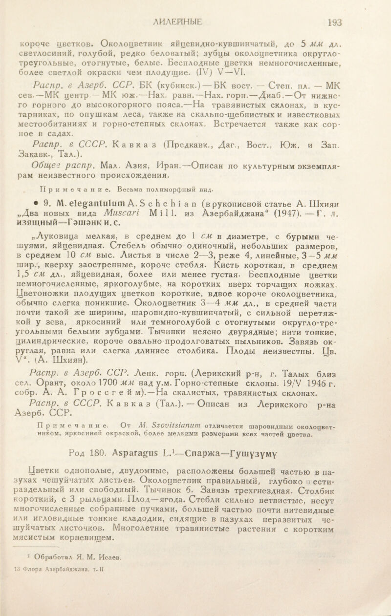 короче цветков. Околоцветник яйцевидно-кувшинчатый, до 5 ММ дл. светлосиний, голубой, редко беловатый; зубцы околоцветника округло¬ треугольные, отогнутые, белые. Бесплодные цветки немногочисленные, более светлой окраски чем плодущие. (IV) V—VI. Распр. в Азерб. ССР. БК (кубинск.) — БК воет. — Степ. пл. — МК сев.—МК центр — МК юж.—Нах. равн. — Нах. горн.—Диаб,—От нижне¬ го горного до высокогорного пояса.—На травянистых склонах, в кус¬ тарниках, по опушкам леса, также на скально-щебнистых и известковых местообитаниях и горно-степных склонах. Встречается также как сор¬ ное в садах. Распр. в СССР. Кавказ (Предкавк., Даг., Воет., Юж. и Зап. Закавк., Тал.). Общее распр. Мал. Азия, Иран.—Описан по культурным экземпля¬ рам неизвестного происхождения. Примечание. Весьма полиморфный вид. • 9. М. еіе^апіиішп А.ЗсЬсЬіап (в рукописной статье А. Іііхиян „Два новых вида Мизсагі М і 1 I. из Азербайджана (1947).—Г. л. изящный—Гэшэнк и. с. я Луковица мелкая, в среднем до 1 см в диаметре, с бурыми че- шуями, яйцевидная. Стебель обычно одиночный, небольших размеров, в среднем 10 СМ выс. Листья в числе 2—3, реже 4, линейные, 3—5 жж шир., кверху заостренные, короче стебля. Кисть короткая, в среднем 1,5 см дл., яйцевидная, более или менее густая. Бесплодные цветки немногочисленные, яркоголубые, на коротких вверх торчащих ножках. Цветоножки плодущих цветков короткие, вдвое короче околоцветника, обычно слегка поникшие. Околоцветник 3—4 мм дл., в средней части почти такой же ширины, шаровидно-кувшинчатый, с сильной перетяж¬ кой у зева, яркосиний или темноголубой с отогнутыми округло-тре¬ угольными белыми зубцами. Тычинки неясно двурядные; нити тонкие, цилиндрические, короче овально продолговатых пыльников. Завязь ок¬ руглая, равна или слегка длиннее столбика. Плоды неизвестны. Цв. Ѵ“. (А. Іііхиян). Распр. в Азерб. ССР. Ленк. горн. (Лерикский р-н, г. Талых близ сел. Орант, около 1700 ММ над у.м. Горко-степные склоны. 19/V 1946 г. собр. А. А. Гроссгей м).—На скалистых, травянистых склонах. Распр. 6 СССР. Кавказ (Тал.). — Описан из Лерикского р-на Азерб. ССР. Примечание. От М. ЗгоѵШІапит отличается шаровидным околоцвет¬ ником, яркосиней окраской, более мелкими размерами всех частей цветка. Род 180. А$рага§ш Б.1—Спаржа—Гушузуму Цветки однополые, двудомные, расположены большей частью в па¬ зухах чешуйчатых листьев. Околоцветник правильный, глубоко ігести- раздельный или свободный, іычинок 6. Завязь трехгнездная. Столбик короткий, с 3 рыльцами. Плод ягода. Стебли сильно ветвистые, несут многочисленные собранные пучками, большей частью почти нитевидные или игловидные тонкие кладодии, сидящие в пазухах неразвитых че¬ шуйчатых листочков. Многолетние травянистые растения с коротким мясистым корневищем. 1 Обработал Я. М. Исаев. 13 Флора Азербайджана, т. II