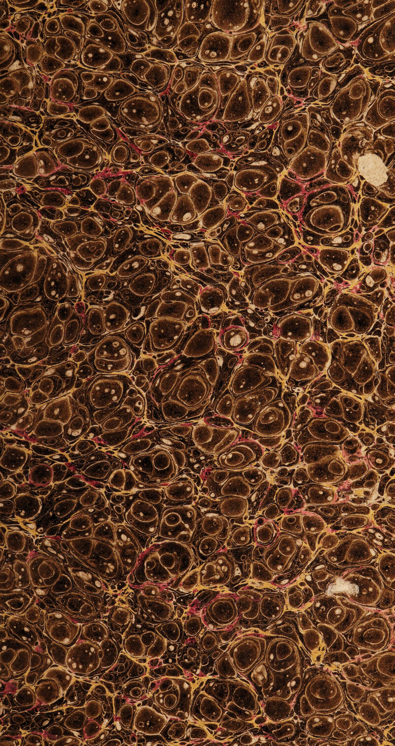 ïrnimÊÊ^'Æyê ■ *jlil