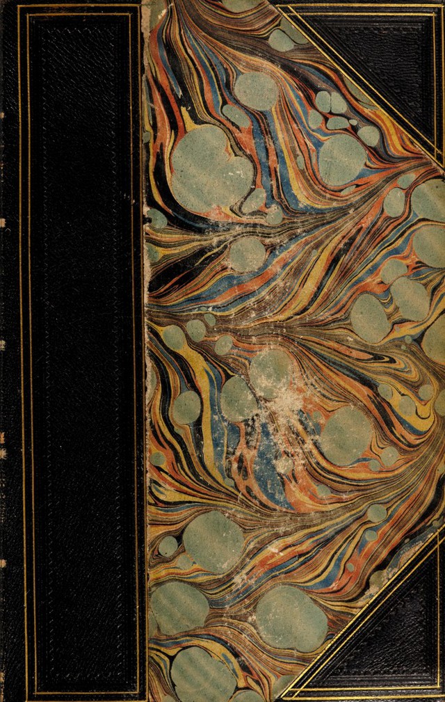 No text description is available for this image