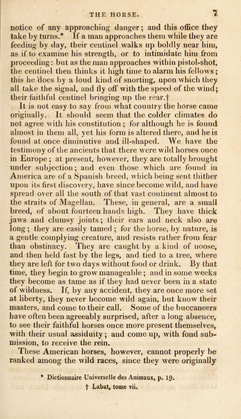 ie horse came notice of any approaching danger; and this office they take by turns.* If a man approaches them while they are feeding by day, their centinel walks up boldly near him, as if to examine his strength, or to intimidate him from proceeding: but as the man approaches within pistobshot, the centinel then thinks it high time to alarm his fellows; this he does by a loud kind of snorting, upon which they all take the signal, and fly off with the speed of the wind; their faithful centinel bringing up the rear/ It is not easy to say from what country t originally. It should seem that the colder climates do not agree with his constitution ; for although he is found almost in them all, yet his form is altered there, and he is found at once diminutive and ill-shaped. We have the testimony of the ancients that there were wild horses once in Europe; at present, however, they are totally brought under subjection; and even those which are found in America are of a Spanish breed, which being sent thither upon its first discovery, have since become wild, and have spread over all the south of that vast continent almost to the straits of Magellan. These, in general, are a small breed, of about fourteen hands high. They have thick jaws and clumsy joints; their ears and neck also are long; they are easily tamed ; for the horse, by nature, is a gentle complying creature, and resists rather from fear than obstinacy. They are caught by a kind of noose, and then held fast by the legs, and tied to a tree, where they are left for two days without food or drink. By that time, they begin to grow manageable; and in some weeks they become as tame as if they had never been in a state of wildness. If, by any accident, they are once more set at liberty, they never become wild again, but know their masters, and come to their call. Some of the buccaneers have often been agreeably surprised, after a long absence, to see their faithful horses once more present themselves, with their usual assiduity; and come up, with fond sub- mission, to receive the rein. These American horses, however, cannot properly be ranked among the wild races, since they were originally * Dictionnaire Universelle deg Animaux, p. Ip* t Labat, tome vii.