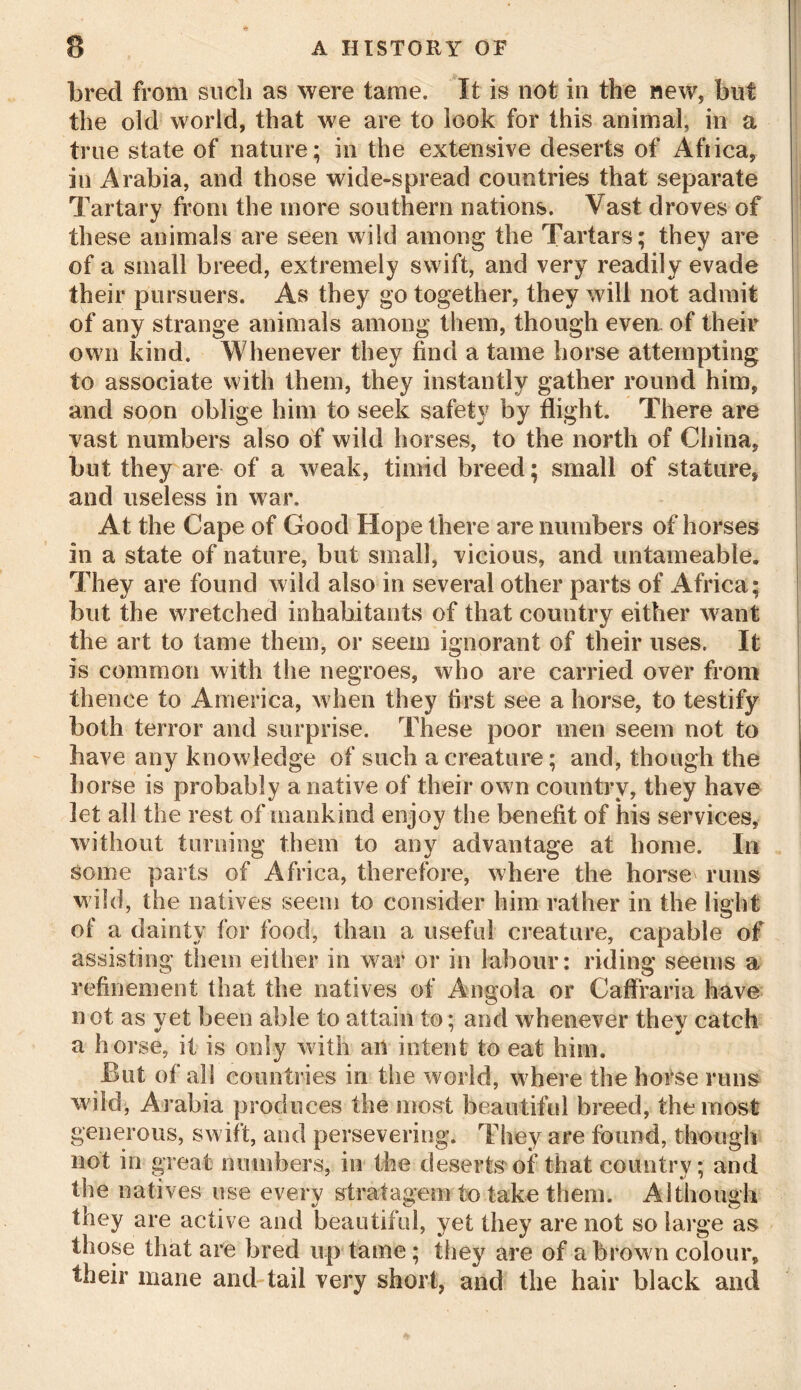 bred from sucb as were tame. It is not in the new* but the old world, that we are to look for this animal, in a true state of nature; in the extensive deserts of Africa, in Arabia, and those wide-spread countries that separate Tartary from the more southern nations. Vast droves of these animals are seen wild among the Tartars; they are of a small breed, extremely swift, and very readily evade their pursuers. As they go together, they will not admit of any strange animals among them, though even of their own kind. Whenever they find a tame horse attempting to associate with them, they instantly gather round him, and soon oblige him to seek safety by flight. There are vast numbers also of wild horses, to the north of China, but they are of a weak, timid breed; small of stature, and useless in war. At the Cape of Good Hope there are numbers of horses in a state of nature, but small, vicious, and untameable. They are found wild also in several other parts of Africa; but the wretched inhabitants of that country either want the art to tame them, or seem ignorant of their uses. It is common with the negroes, who are carried over from thence to America, when they first see a horse, to testify both terror and surprise. These poor men seem not to have any knowledge of such a creature; and, though the horse is probably a native of their own country, they have let all the rest of mankind enjoy the benefit of his services, without turning them to any advantage at home. In some parts of Africa, therefore, where the horse runs wild, the natives seem to consider him rather in the light of a dainty for food, than a useful creature, capable of assisting them either in war or in labour: riding seems a refinement that the natives of Angola or Caffraria have n ot as yet been able to attain to; and whenever they catch a horse, it is only with an intent to eat him. But of all countries in the world, where the horse runs wild, Arabia produces the most beautiful breed, the most generous, swift, and persevering. They are found, though not in great numbers, in the deserts'of that country; and the natives use every stratagem to take them. Although they are active and beautiful, yet they are not so large as those that are bred up tame; they are of a brown colour, their mane and tail very short, and the hair black and