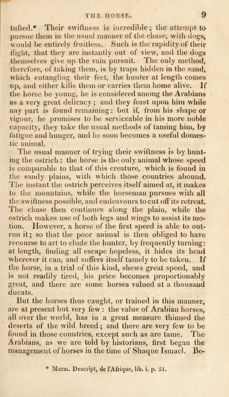 tufted.# Their swiftness is incredible ; the attempt to pursue them in the usual manner of the chase, with dogs, would be entirely fruitless. Such is the rapidity of their flight, that they are instantly out of view, and the dogs themselves give up the vain pursuit. The only method, therefore, of taking them, is by traps hidden in the sand, which entangling their feet, the hunter at length comes up, and either kills them or carries them home alive. If the horse be young, he is considered among the Arabians as a very great delicacy ; and they feast upon him while any part is found remaining: but if, from his shape or vigour, he promises to be serviceable in his more noble capacity, they take the usual methods of taming him, by fatigue and hunger, and he soon becomes a useful domes- tic animal. The usual manner of trying their swiftness is bjr hunt- ing the ostrich : the horse is the only animal whose speed is comparable to that of this creature, which is found in the sandy plains, with which those countries abound. The instant the ostrich perceives itself aimed at, it makes to the mountains, while the horseman pursues with alt the swiftness possible, and endeavours to cut off its retreat. The chase then continues along the plain, while the ostrich makes use of both legs and wings to assist its mo- tion. However, a horse of the first speed is able to out- run it; so that the poor animal is then obliged to have recourse to art to elude the hunter, by frequently turning: at length, finding all escape hopeless, it hides its head wherever it can, and suffers itself tamely to be taken. If the horse, in a trial of this kind, shews great speed, and is not readily tired, his price becomes proportionably great, and there are some horses valued at a thousand ducats. But the horses thus caught, or trained in this maimer, are at present but very few : the value of Arabian horses, all over the world, has in a great measure thinned the deserts of the wild breed; and there are very few to be found in those countries, except such as are tame. The Arabians, as we are told by historians, first began the management of horses in the time of Shaque Ismael, Be- * Marm. Descript, dc TAfrique, lib, i. p. 51,