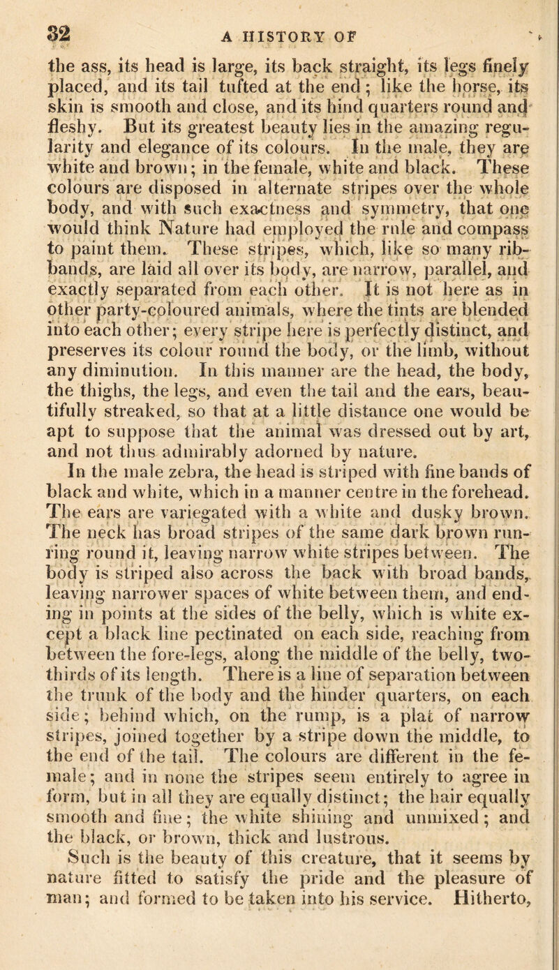the ass, its head is large, its back straight, its legs finely placed, and its tail tufted at the end; like the horse, its skin is smooth and close, and its hind quarters round and fleshy. But its greatest beauty lies in the amazing regu- larity and elegance of its colours. In the male, they are white and brown; in the female, white and black. These colours are disposed in alternate stripes over the whole body, and with such exactness and symmetry, that one would think Nature had employed the rule and compass to paint them. These stripes, which, like so many rib- bands, are laid all over its body, are narrow, parallel, and exactly separated from each other. It is not here as in other party-coloured animals, where the tints are blended into each other; every stripe here is perfectly distinct, and preserves its colour round the body, or the limb, without any diminution. In this manner are the head, the body, the thighs, the legs, and even the tail and the ears, beau- tiful lv streaked, so that at a little distance one would be apt to suppose that the animal was dressed out by art, and not thus admirably adorned by nature. In the male zebra, the head is striped with fine bands of black and white, which in a manner centre in the forehead. The ears are variegated with a white and dusky brown. The neck has broad stripes of the same dark brown run- ring round it, leaving narrow white stripes between. The body is striped also across the back with broad bands, leaving narrower spaces of white between them, and end- ing in points at the sides of the belly, w hich is white ex- cept a black line pectinated on each side, reaching from between the fore-legs, along the middle of the belly, two- thirds of its length. There is a line of separation between the trunk of the body and the hinder quarters, on each side; behind which, on the rump, is a plat of narrow stripes, joined together by a stripe down the middle, to the end of the tail. The colours are different in the fe- male; and in none the stripes seem entirely to agree in form, but in all they are equally distinct; the hair equally smooth and fine; the white shining and umnixed; and the black, or brown, thick and lustrous. Such is the beauty of this creature, that it seems by nature fitted to satisfy the pride and the pleasure of man; and formed to be taken into his service. Hitherto,