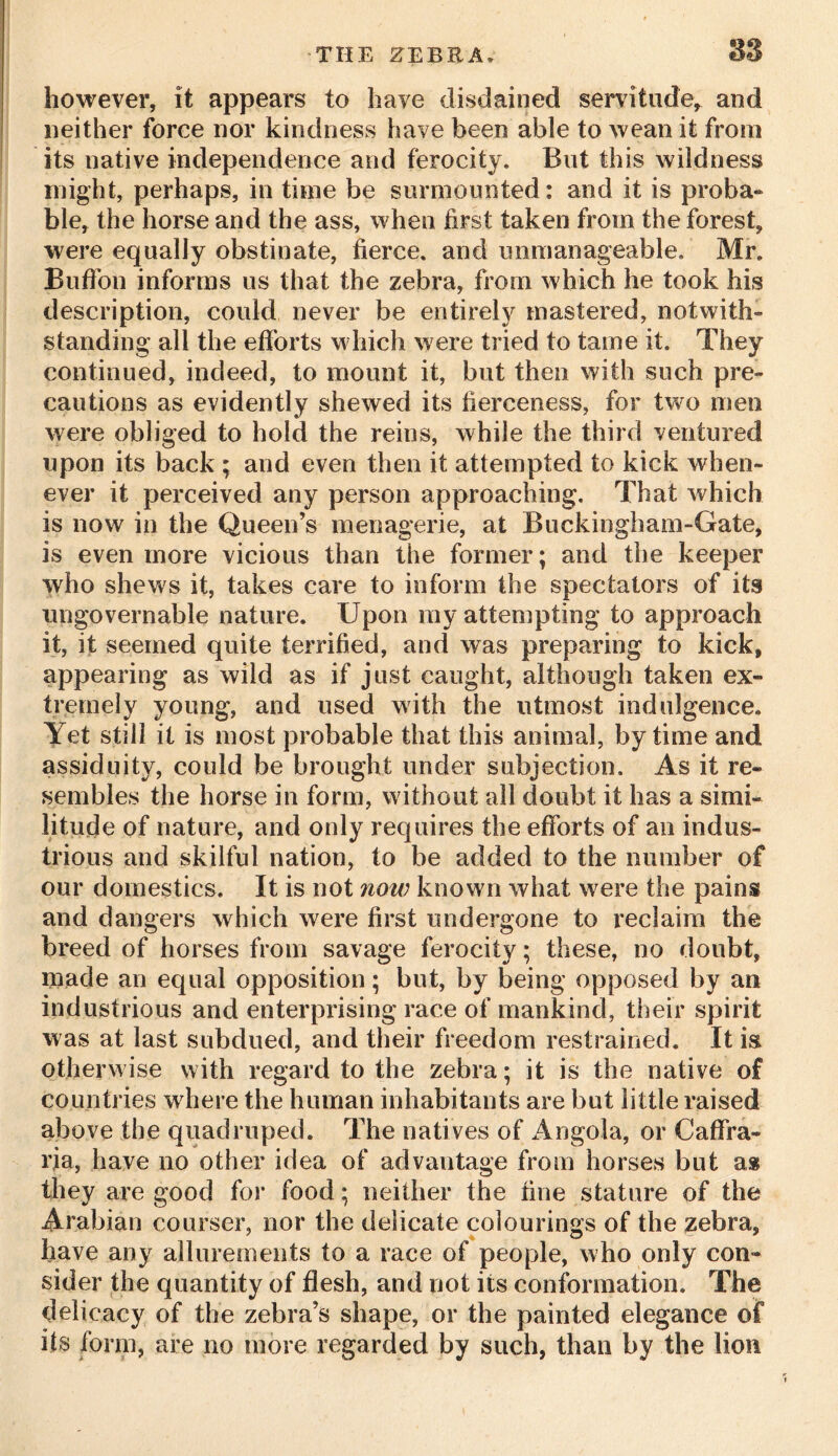 011 however, it appears to have disdained servitude* and neither force nor kindness have been able to wean it from its native independence and ferocity. But this wildness might, perhaps, in time be surmounted: and it is proba- ble* the horse and the ass, when first taken from the forest, were equally obstinate, fierce, and unmanageable. Mr. Buffon informs us that the zebra, from which he took his description, could never be entirely mastered, notwith- standing all the efforts which were tried to tame it. They continued, indeed, to mount it, but then with such pre- cautions as evidently shewed its fierceness, for two men were obliged to hold the reins, while the third ventured upon its back ; and even then it attempted to kick when- ever it perceived any person approaching. That which is now in the Queen’s menagerie, at Buckingham-Gate, is even more vicious than the former; and the keeper who shews it, takes care to inform the spectators of its ungovernable nature. Upon my attempting to approach it, it seemed quite terrified, and was preparing to kick, appearing as wild as if just caught, although taken ex- tremely young, and used with the utmost indulgence. Yet still it is most probable that this animal, by time and assiduity, could be brought under subjection. As it re- sembles the horse in form, without all doubt it has a simi- litude of nature, and only requires the efforts of an indus- trious and skilful nation, to be added to the number of our domestics. It is not now known what were the pains and dangers which were first undergone to reclaim the breed of horses from savage ferocity; these, no doubt, made an equal opposition; but, by being opposed by an industrious and enterprising race of mankind, their spirit was at last subdued, and their freedom restrained. It i& otherwise with regard to the zebra; it is the native of countries where the human inhabitants are but little raised above the quadruped. The natives of Angola, or Caffra- rja, have no other idea of advantage from horses but as they are good for food; neither the fine stature of the Arabian courser, nor the delicate colourings of the zebra, have any allurements to a race of people, who only con- sider the quantity of flesh, and not its conformation. The delicacy of the zebra’s shape, or the painted elegance of its form, are no more regarded by such, than by the lion