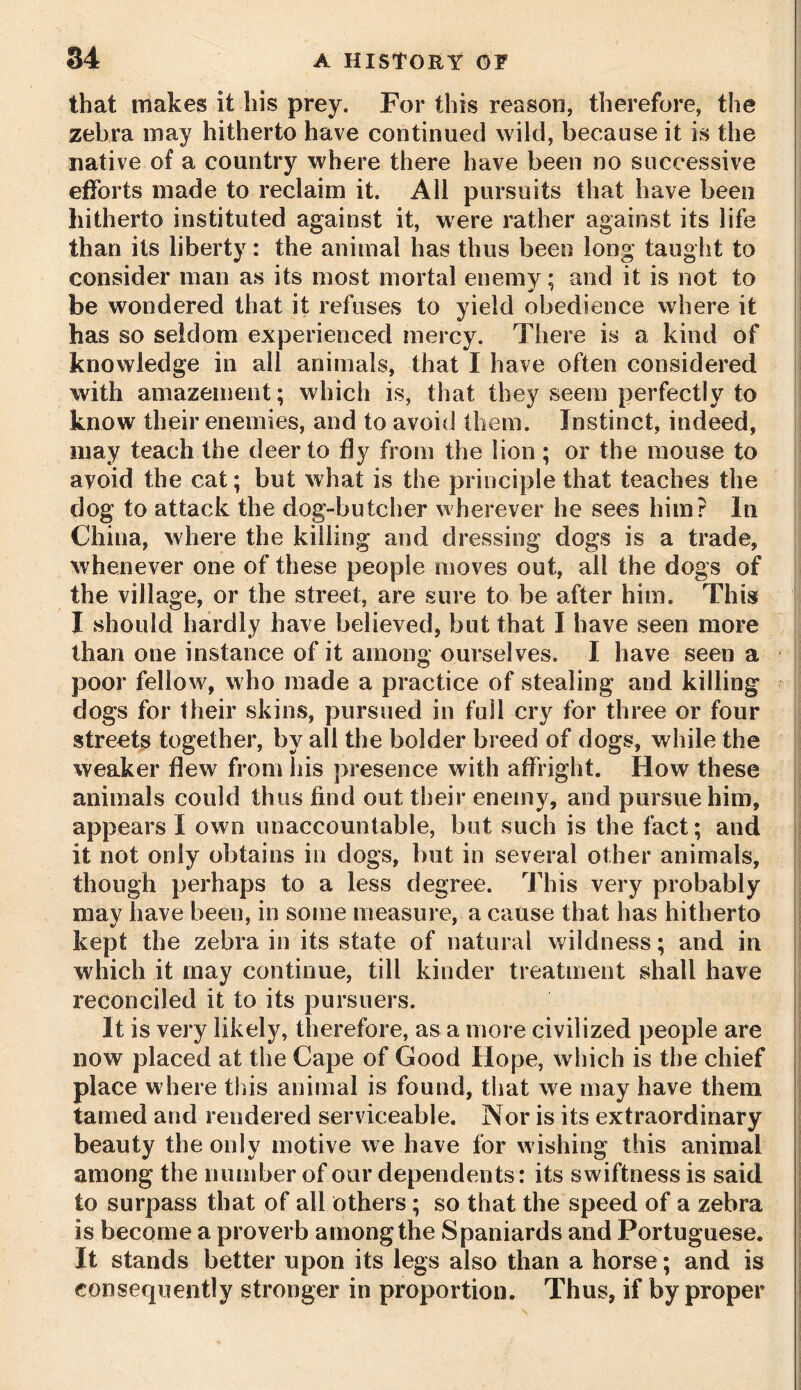 that makes it his prey. For this reason, therefore, the zebra may hitherto have continued wild, because it is the native of a country where there have been no successive efforts made to reclaim it. All pursuits that have been hitherto instituted against it, were rather against its life than its liberty: the animal has thus been long taught to consider man as its most mortal enemy; and it is not to be wondered that it refuses to yield obedience where it has so seldom experienced mercy. There is a kind of knowledge in all animals, that I have often considered with amazement; which is, that they seem perfectly to know their enemies, and to avoid them. Instinct, indeed, may teach the deer to fly from the lion ; or the mouse to avoid the cat; but what is the principle that teaches the dog to attack the dog-butcher wherever he sees him? In China, where the killing and dressing dogs is a trade, whenever one of these people moves out, all the dogs of the village, or the street, are sure to be after him. This I should hardly have believed, but that I have seen more than one instance of it among ourselves. I have seen a poor fellow, who made a practice of stealing and killing dogs for their skins, pursued in full cry for three or four streets together, by all the bolder breed of dogs, while the weaker flew from his presence with affright. How these animals could thus find out their enemy, and pursue him, appears I own unaccountable, but such is the fact; and it not only obtains in dogs, but in several other animals, though perhaps to a less degree. This very probably may have been, in some measure, a cause that has hitherto kept the zebra in its state of natural wildness; and in which it may continue, till kinder treatment shall have reconciled it to its pursuers. It is very likely, therefore, as a more civilized people are now placed at the Cape of Good Hope, which is the chief place where this animal is found, that we may have them tamed and rendered serviceable. Nor is its extraordinary beauty the only motive we have for wishing this animal among the number of our dependents: its swiftness is said to surpass that of all others; so that the speed of a zebra is become a proverb among the Spaniards and Portuguese. It stands better upon its legs also than a horse; and is consequently stronger in proportion. Thus, if by proper