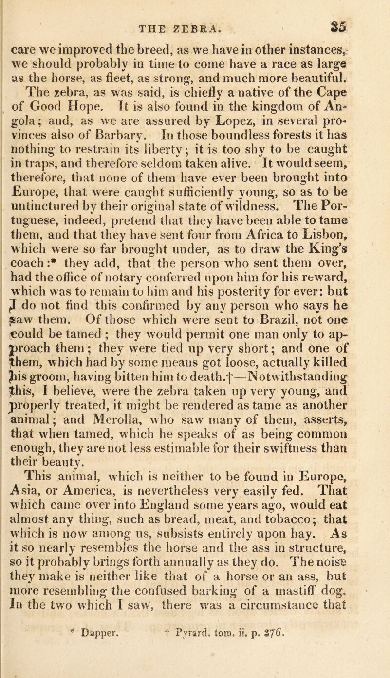 care we improved the breed, as we have in other instances'* we should probably in time to come have a race as large as the horse, as fleet, as strong, and much more beautiful. The zebra, as was said, is chiefly a native of the Cape of Good Hope. It is also found in the kingdom of An- gola; and, as we are assured by Lopez, in several pro- vinces also of Barbary. In those boundless forests it has nothing to restrain its liberty; it is too shy to be caught in traps, and therefore seldom taken alive. It would seem* therefore, that none of them have ever been brought into Europe, that were caught sufficiently young, so as to be untinctured bv their original state of w ildness. The Por- tuguese, indeed, pretend that they have been able to tame them, and that they have sent four from Africa to Lisbon, which were so far brought under, as to draw the King’s coach :* they add, that the person who sent them over, had the office of notary conferred upon him for his reward, which was to remain to him and his posterity for ever: but 2 do not find this confirmed by any person who says he fBaw them. Of those which were sent to Brazil, not one could be tamed ; they would permit one man only to ap- proach them; they were tied up very short; and one of Shem, which had by some means got loose, actually killed Jus groom, having bitten him to death.j*—Notwithstanding $his, I believe, were the zebra taken up very young, and properly treated, it might be rendered as tame as another animal; and Merolla, who saw many of them, asserts, that when tamed, which he speaks of as being common enough, they are not less estimable for their swiftness than their beauty. This animal, which is neither to be found in Europe, Asia, or America, is nevertheless very easily fed. That which came over into England some years ago, would eat almost any thing, such as bread, meat, and tobacco; that which is now among us, subsists entirely upon hay. As it so nearly resembles the horse and the ass in structure, so it probably brings forth annually as they do. The noise they make is neither like that of a horse or an ass, but more resembling the confused barking of a mastiff dog. In the two which I saw, there was a circumstance that Dapper. f Pyrard. torn. ii. p. 37^*