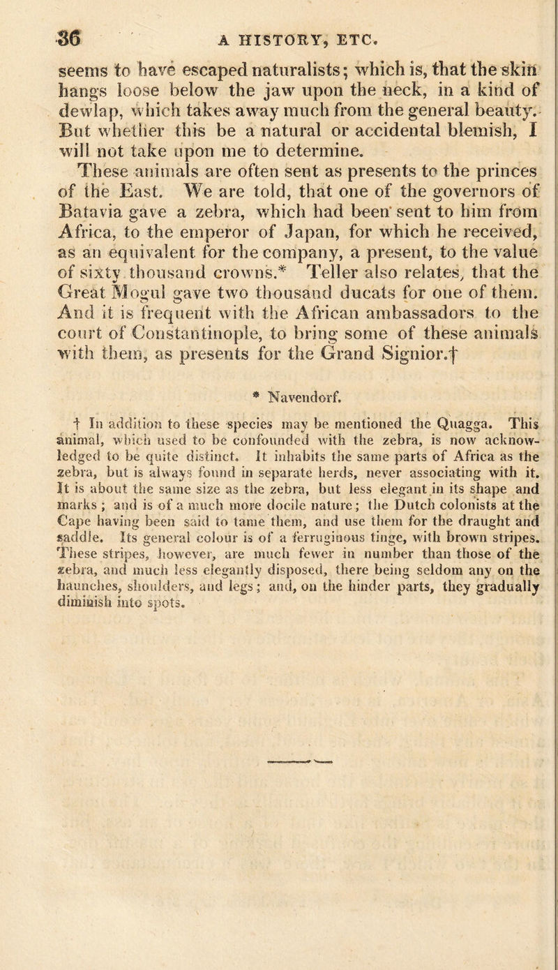 seems to have escaped naturalists; which is, that the skin hangs loose below the jaw upon the neck, in a kind of dewlap, which takes away much from the general beauty. But whether this be a natural or accidental blemish, I will not take upon me to determine. These animals are often sent as presents to the princes of the East. We are told, that one of the governors of Batavia gave a zebra, which had been* sent to him from Africa, to the emperor of Japan, for which he received, as an equivalent for the company, a present, to the value of sixty thousand crowns.# Teller also relates, that the Great Mogul gave two thousand ducats for one of them. And it is frequent with the African ambassadors to the court of Constantinople, to bring some of these animals with them, as presents for the Grand Signior.f * Naven dorf. t In addition to these species may he mentioned the Quagga, This animal, which used to be confounded with the zebra, is now acknow- ledged to be quite distinct. It inhabits the same parts of Africa as the zebra, but is always found in separate herds, never associating with it. It is about the same size as the zebra, but less elegant in its shape and marks ; and is of a much more docile nature; the Dutch colonists at the Cape having been said to tame them, and use them for the draught and saddle. Its general colour is of a ferruginous tinge, with brown stripes. These stripes, however, are much fewer in number than those of the zebra, and much less elegantly disposed, there being seldom any on the haunches, shoulders, and legs; and, on the hinder parts, they gradually dimmish into spots.