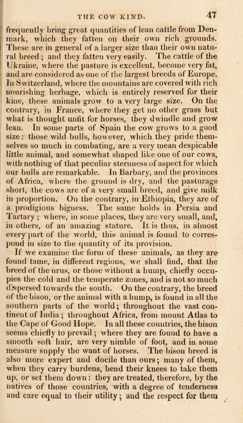 frequently bring great quantities of lean cattle from Den- mark, which they fatten on their own rich grounds* \ These are in general of a larger size than their own natu- ral breed ; and they fatten very easily. The cattle of the Ukraine, where the pasture is excellent, become very fat, and are considered as one of the largest breeds of Europe. I In Switzerland, where the mountains are covered with rich nourishing herbage, which is entirely reserved for their kine, these animals grow to a very large size. On the contrary, in France, where they get no other grass but what is thought unfit for horses, they dwindle and grow lean. In some parts of Spain the cow grows to a good size: those wild bulls, however, which they pride them- selves so much in combating, are a very mean despicable little animal, and somewhat shaped like one of our cows, with nothing of that peculiar sternness of aspect for which our bulls are remarkable. In Barbary, and the provinces of Africa, where the ground is dry, and the pasturage short, the cows are of a very small breed, and give milk in proportion. On the contrary, in Ethiopia, they are of a prodigious bigness. The same holds in Persia and Tartary ; where, in some places, they are very small, and, in others, of an amazing stature. It is thus, in almost every part of the world, this animal is found to corres- pond in size to the quantity of its provision. If we examine the form of these animals, as they are found tame, in different regions, we shall find, that the breed of the urus, or those without a hump, chiefly occu- pies the cold and the temperate zones, and is not so much dispersed towards the south. On the contrary, the breed of the bison, or the animal with a hump, is found in all the southern parts of the world; throughout the vast con- tinent of India; throughout Africa, from mount Atlas to the Cape of Good Hope. In all these countries, the bison seems chiefly to prevail; where they are found to have a smooth soft hair, are very nimble of foot, and in some measure supply the want of horses. The bison breed is also more expert and docile than ours; many of them, when they carry burdens, bend their knees to take them up, or set them down : they are treated, therefore, by the natives of those countries, with a degree of tenderness and care equal to their utility; and the respect for them