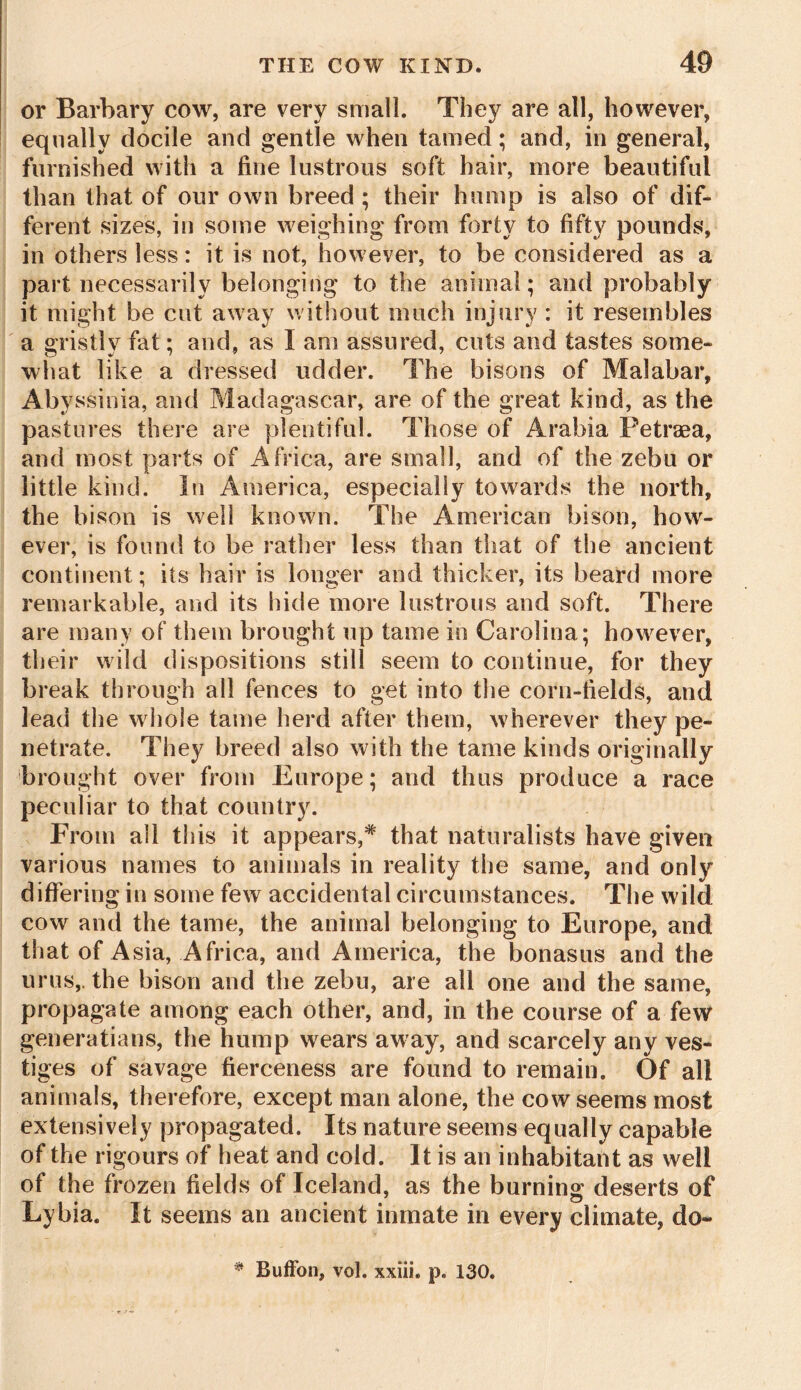 or Barbary cow, are very small. They are all, however, equally docile and gentle when tamed; and, in general, furnished with a fine lustrous soft hair, more beautiful than that of our own breed; their hump is also of dif- ferent sizes, in some weighing from forty to fifty pounds, in others less: it is not, however, to be considered as a part necessarily belonging to the animal; and probably it might be cut away without much injury : it resembles a gristly fat; and, as I am assured, cuts and tastes some- what like a dressed udder. The bisons of Malabar, Abyssinia, and Madagascar, are of the great kind, as the pastures there are plentiful. Those of Arabia Petraea, and most parts of Africa, are small, and of the zebu or little kind. In America, especially towards the north, the bison is well known. The American bison, how- ever, is found to be rather less than that of the ancient continent; its hair is longer and thicker, its beard more remarkable, and its hide more lustrous and soft. There are many of them brought up tame in Carolina; however, their wild dispositions still seem to continue, for they break through all fences to get into the corn-fields, and lead the whole tame herd after them, wherever they pe- netrate. They breed also with the tame kinds originally brought over from Europe; arid thus produce a race peculiar to that country. From all this it appears,# that naturalists have given various names to animals in reality the same, and only differing in some few accidental circumstances. The wild cow and the tame, the animal belonging to Europe, and that of Asia, Africa, and America, the bonasus and the urns,, the bison and the zebu, are ail one and the same, propagate among each other, and, in the course of a few generatians, the hump wears away, and scarcely any ves- tiges of savage fierceness are found to remain. Of all animals, therefore, except man alone, the cow seems most extensively propagated. Its nature seems equally capable of the rigours of heat and cold. It is an inhabitant as well of the frozen fields of Iceland, as the burning deserts of Lybia. It seems an ancient inmate in every climate, do-