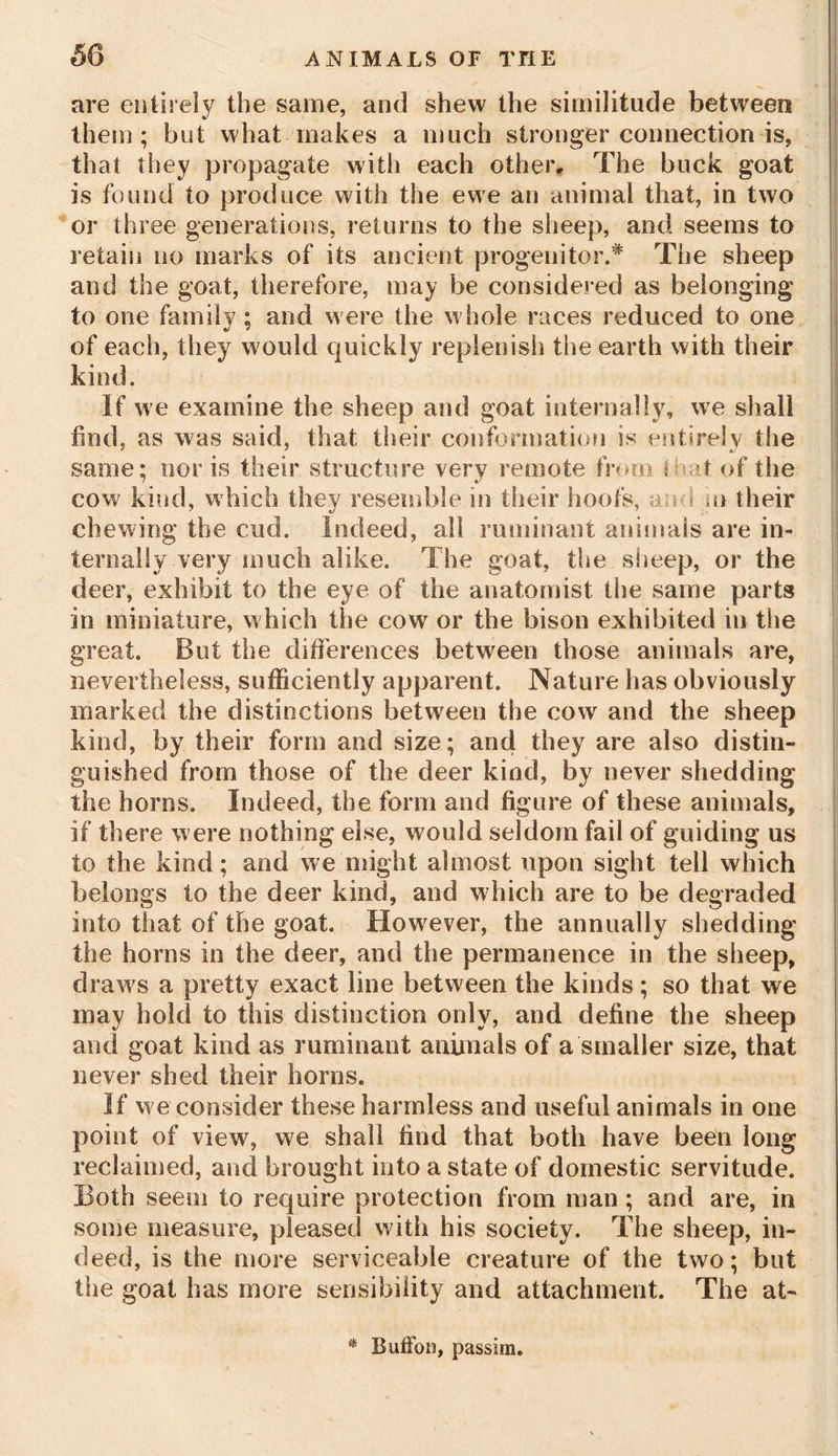 are entirely the same, and shew the similitude between them; but what makes a much stronger connection is, that they propagate with each other. The buck goat is found to produce with the ewe an animal that, in two or three generations, returns to the sheep, and seems to retain no marks of its ancient progenitor.* The sheep and the goat, therefore, may be considered as belonging to one family; and were the whole races reduced to one of each, they would quickly replenish the earth with their kind. If we examine the sheep and goat internally, we shall find , as was said, that their conformation is entirely the same; nor is their structure very remote from I oat of the cow kind, which they resemble in their hoofs, a m their chewing the cud. Indeed, all ruminant animals are in- ternally very much alike. The goat, the sheep, or the deer, exhibit to the eye of the anatomist the same parts in miniature, which the cow or the bison exhibited in the great. But the differences between those animals are, nevertheless, sufficiently apparent. Nature has obviously marked the distinctions between the cow and the sheep kind, by their form and size; and they are also distin- guished from those of the deer kind, by never shedding the horns. Indeed, the form and figure of these animals, if there were nothing else, would seldom fail of guiding us to the kind; and we might almost upon sight tell which belongs to the deer kind, and which are to be degraded into that of the goat. However, the annually shedding the horns in the deer, and the permanence in the sheep, draw s a pretty exact line between the kinds; so that we may hold to this distinction only, and define the sheep and goat kind as ruminant animals of a smaller size, that never shed their horns. If we consider these harmless and useful animals in one point of view, we shall find that both have been long reclaimed, and brought into a state of domestic servitude. Both seem to require protection from man ; and are, in some measure, pleased with his society. The sheep, in- deed, is the more serviceable creature of the two; but the goat has more sensibility and attachment. The at- * Buffoi), passim.