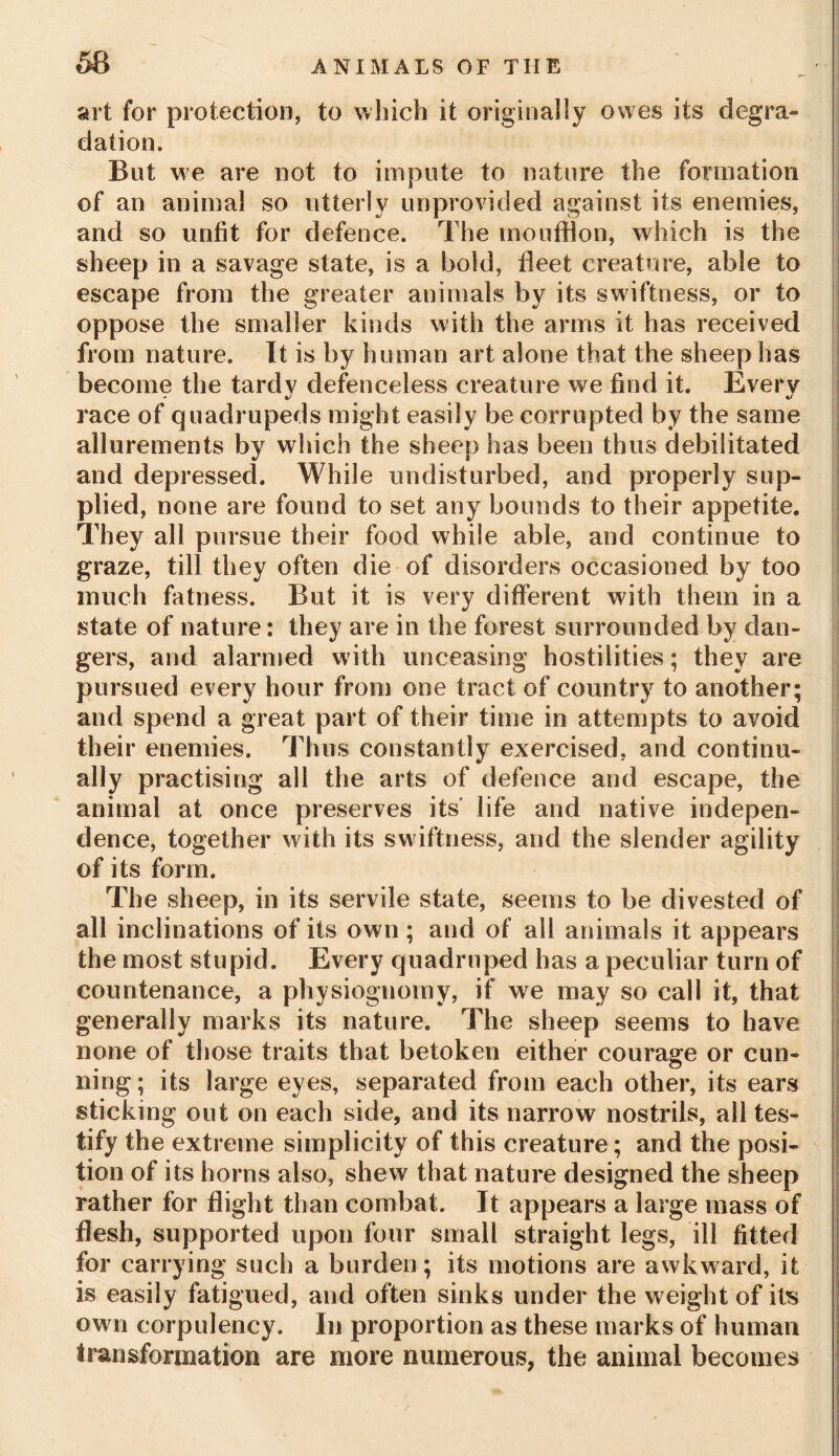 art for protection, to which it originally owes its degra- dation. But we are not to impute to nature the formation of an animal so utterly unprovided against its enemies, and so unfit for defence. The moufflon, which is the sheep in a savage state, is a bold, fleet creature, able to escape from the greater animals by its swiftness, or to oppose the smaller kinds with the arms it has received from nature. It is by human art alone that the sheep has become the tardy defenceless creature we find it. Every race of quadrupeds might easily be corrupted by the same allurements by which the sheep has been thus debilitated and depressed. While undisturbed, and properly sup- plied, none are found to set any bounds to their appetite. They all pursue their food while able, and continue to graze, till they often die of disorders occasioned by too much fatness. But it is very different with them in a state of nature: they are in the forest surrounded by dan- gers, and alarmed with unceasing hostilities; they are pursued every hour from one tract of country to another; and spend a great part of their time in attempts to avoid their enemies. Thus constantly exercised, and continu- ally practising all the arts of defence and escape, the animal at once preserves its life and native indepen- dence, together with its sw iftness, and the slender agility of its form. The sheep, in its servile state, seems to be divested of all inclinations of its own; and of all animals it appears the most stupid. Every quadruped has a peculiar turn of countenance, a physiognomy, if we may so call it, that generally marks its nature. The sheep seems to have none of those traits that betoken either courage or cun- ning; its large eyes, separated from each other, its ears sticking out on each side, and its narrow nostrils, all tes- tify the extreme simplicity of this creature; and the posi- tion of its horns also, shew that nature designed the sheep rather for flight than combat. It appears a large mass of flesh, supported upon four small straight legs, ill fitted for carrying such a burden; its motions are awkward, it is easily fatigued, and often sinks under the weight of its own corpulency. In proportion as these marks of human transformation are more numerous, the animal becomes
