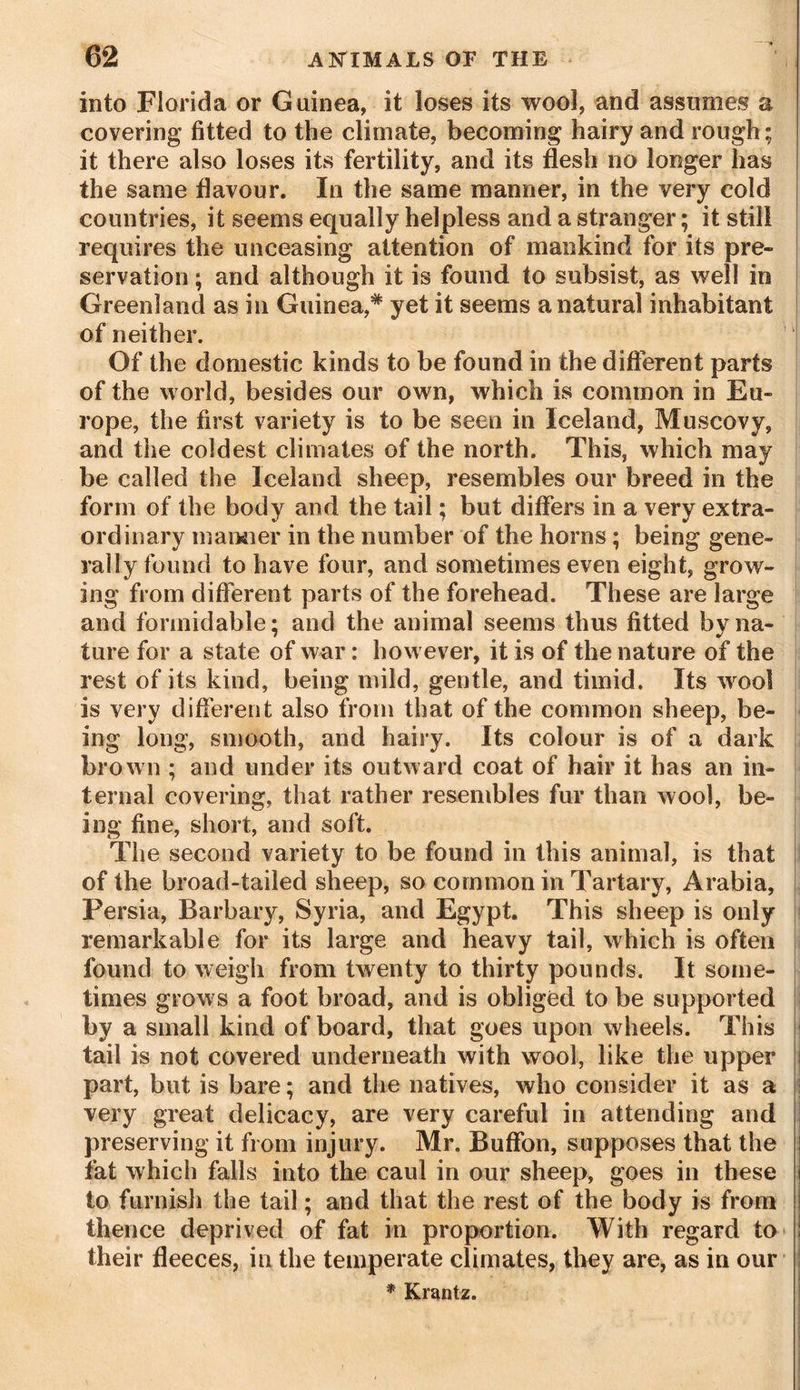 into Florida or Guinea, it loses its wool, and assumes a covering fitted to the climate, becoming hairy and rough; it there also loses its fertility, and its flesh no longer has the same flavour. In the same manner, in the very cold countries, it seems equally helpless and a stranger; it still requires the unceasing attention of mankind for its pre- servation ; and although it is found to subsist, as well in Greenland as in Guinea,* yet it seems a natural inhabitant of neither. Of the domestic kinds to be found in the different parts of the world, besides our own, which is common in Eu- rope, the first variety is to be seen in Iceland, Muscovy, and the coldest climates of the north. This, which may be called the Iceland sheep, resembles our breed in the form of the body and the tail; but differs in a very extra- ordinary manner in the number of the horns ; being gene- rally found to have four, and sometimes even eight, grow- ing from different parts of the forehead. These are large and formidable; and the animal seems thus fitted by na- ture for a state of war: however, it is of the nature of the rest of its kind, being mild, gentle, and timid. Its wool is very different also from that of the common sheep, be- ing long, smooth, and hairy. Its colour is of a dark brown ; and under its outward coat of hair it has an in- ternal covering, that rather resembles fur than wool, be- ing fine, short, and soft. The second variety to be found in this animal, is that of the broad-tailed sheep, so common in Tartary, Arabia, Persia, Barbary, Syria, and Egypt. This sheep is only remarkable for its large and heavy tail, which is often found to weigh from twenty to thirty pounds. It some- times grows a foot broad, and is obliged to be supported by a small kind of board, that goes upon wheels. This tail is not covered underneath with wool, like the upper part, but is bare; and the natives, who consider it as a very great delicacy, are very careful in attending and preserving it from injury. Mr. Buffon, supposes that the fat which falls into the caul in our sheep, goes in these i to furnish the tail; and that the rest of the body is from thence deprived of fat in proportion. With regard to ! their fleeces, in the temperate climates, they are, as in our * Krantz.