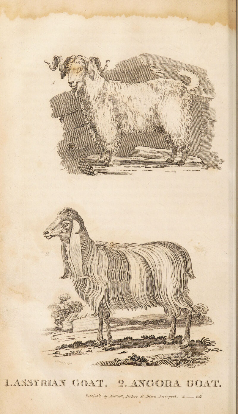 JJub2r vhci Of A rrt/n7,L * _/y,y.7l f'f Sc* Jh.ivj't, .T>n'fr^