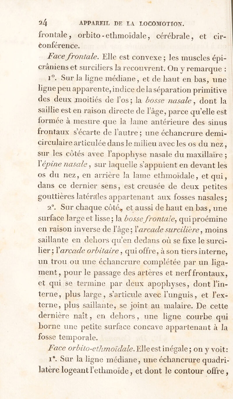 frontale J orbito-ethmoïclale, cérébrale, et cir- eonférence. Face frontale. Elle est convexe; les muscles épi- craniens et surciiiers la recouvrent. On y remarque : 1®. Sur la ligne médiane, et de haut en bas, une ligne peu apparente, indice de la séparation primitive des deux moitiés de fos ; la bosse nasale, dont la saillie est en raison directe de l’âge, parce qu’elle est formée à mesure que la hune antérieure des sinus frontaux s’écarte de l'autre ; une échancrure demi- circulaire articulée dans le milieu avec les os du nez, sur les côtés avec l’apophyse nasale du maxillaire ; Xépine nasale, sur laquelle s’appuient en devant les os du nez, en arrière la lame ethmoïdale, et qui, dans ce dernier sens, est creusée de deux petites gouttières latérales appartenant aux fosses nasales; 2“. Sur chaque côté^ et aussi de haut en bas, une surface large et lisse; la bosse frontale.^ quiproémine en raison inverse de l’age; Y arcade surcilière moins saillante en dehors qu’en dedans oèi se fixe le surci- lier ; Y arcade orbitaire, qui offre, à son tiers interne, un trou ou une échancrure complétée par un liga- ment, pour le passage des artères et nerf frontaux, et qui se termine par deux apophyses, dont l’in- terne, plus large, s’articule avec l’iinguis, et l’ex- terne, plus saillante, se joint au malaire. De cette dernière naît, en dehors, une ligne courbe qui borne une petite surface concave appartenant à la fosse temporale. Face orbito-ethmoïdcde. Elle est inégale ; on y voit : I®. Sur la ligne médiane, une échancrure quadri- latère logeant l’ethmoïde, et dont le contour offre,