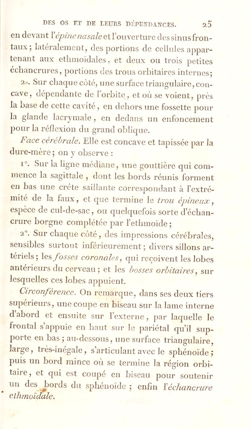 en dcvRiit 1 epmc hcisciIg Gt 1 oiivGrtiire des sinus fron- taux; latéralement, des portions de cellules appar- tenant aux etiimoïdaies, et deux ou trois petites échancrures, portions des trous orbitaires internes; 2o. Sur chaque côté, une surface triangulaire, con- cave, dépendante de l’orbite, et où se voient, près la base de cette cavité, en dehors une fossette pour la glande lacrymale , en dedans un enfoncement pour la réflexion du grand oblique. Face cérébrale. Elle est concave et tapissée par la dure-mère ; on y observe : I. Sur ia ligne médiane, une gouttière c|ui com- mence la sagittale , dont les bords réunis forment en bas une crete saillante correspondant à l’extré- mite de la faux, et que termine le trou épineux espèce de cul-de-sac, ou quelquefois sorte d’échan- crure borgne complétée par l’ethmoïde ; a . Sur chaque cote, des impressions cérébrales, sensibles surtout inférieurement ; divers sillons ar- tériels; fosses coronales.^ qui reçoivent les lobes antérieurs du cerveau ; et les bosses orbitaires., sur lesquelles ces lobes appuient. Circonférence. On remarque, dans ses deux tiers supeiieurs, une coupe en biseau sur la lame interne dabord et ensuite sur l’externe, par laquelle le frontal s appuie en haut sur le pariétal qu’il sup- porte en bas ; au-dessous, une surface triangulaire, large, très-inégale, s’articulant avec le sphénoïde; puis un bord mince où se termine la région orbi- taire, et qui est coupé en biseau pour soutenir un des ^ords du sphénoïde ; enfin ïéchancrure elhmoïdale»