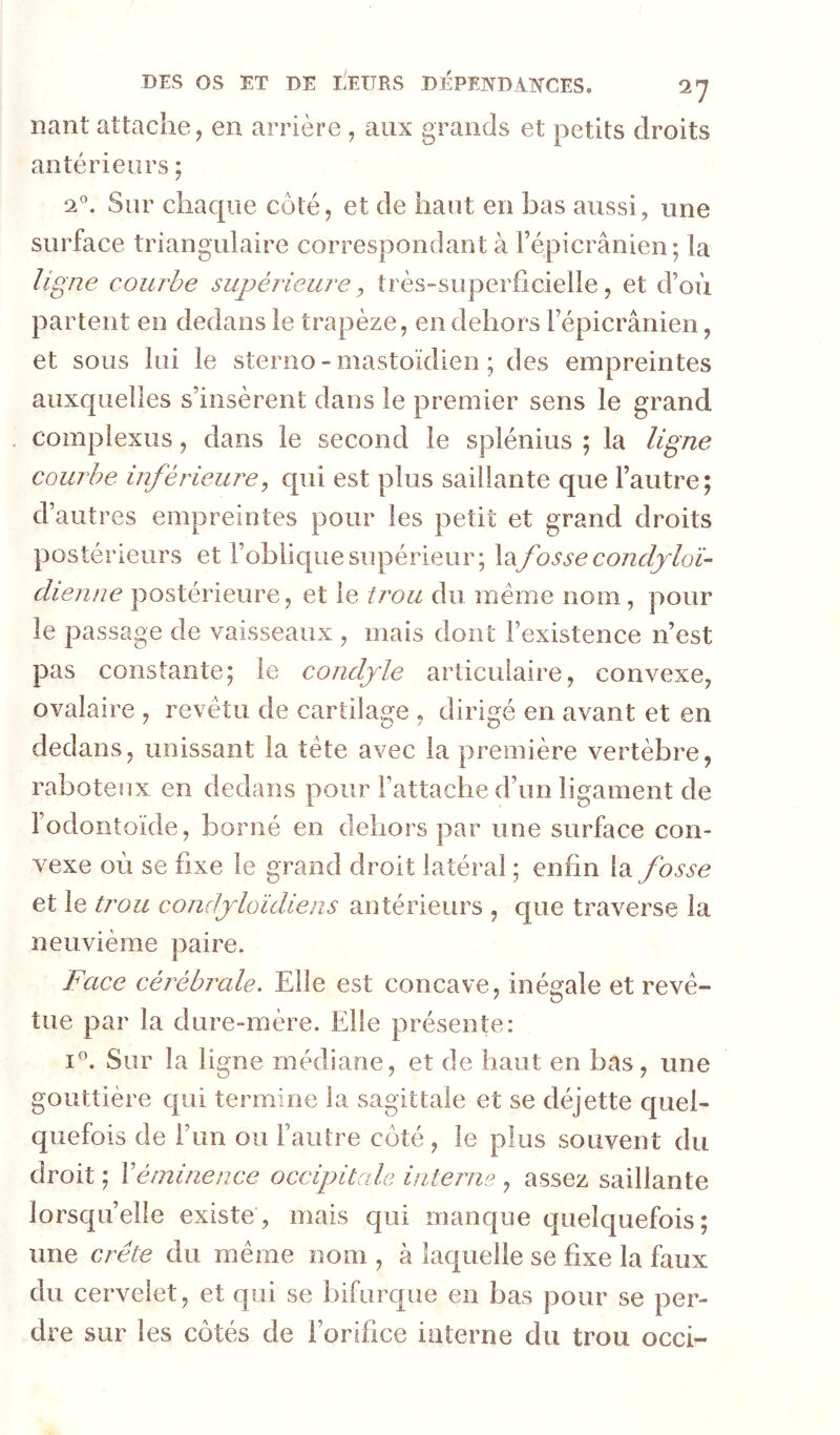 nant attache, en arrière , aux grands et petits droits antérieurs ; Sur chaque côté, et de haut en bas aussi, une surface triangulaire correspondant à Fépicrânien; la ligne courbe supérieure^ très-superficielle, et d’où partent en dedans le trapèze, en dehors l’épicranien, et sous lui le sterno - mastoïdien ; des empreintes auxquelles s’insèrent dans le premier sens le grand complexus, dans le second le splénius ; la ligne courbe inférieure, qui est plus saillante que l’autre; d’autres empreintes pour les petit et grand droits postérieurs et l’oblique supérieur; X^fossecondjloï- dienne postérieure, et le trou du meme nom, pour le passage de vaisseaux , mais dont l’existence n’est pas constante; le condjle articulaire, convexe, ovalaire , revêtu de cartilage , dirigé en avant et en dedans, unissant la tête avec la première vertèbre, raboteux en dedans pour l’attache d’un ligament de l’odontoïde, borné en dehors par une surface con- vexe où se fixe le grand droit latéral ; enfin la fosse et le trou condjloïdiens antérieurs , que traverse la neuvième paire. Face cérébrale. Elle est concave, inégale et revê- tue par la dure-mère. Elle présente: Sur la ligne médiane, et de haut en bas, une gouttière qui termine la sagittale et se déjette quel- quefois de l’un ou l’autre côté, le plus souvent du droit ; \éminence occipitale interne , assez saillante lorsqu’elle existe, mais qui manc[ue quelquefois; une crête du même nom , à laquelle se fixe la faux du cervelet, et qui se bifurque en bas pour se per- dre sur les côtés de l’orifice interne du trou occi-