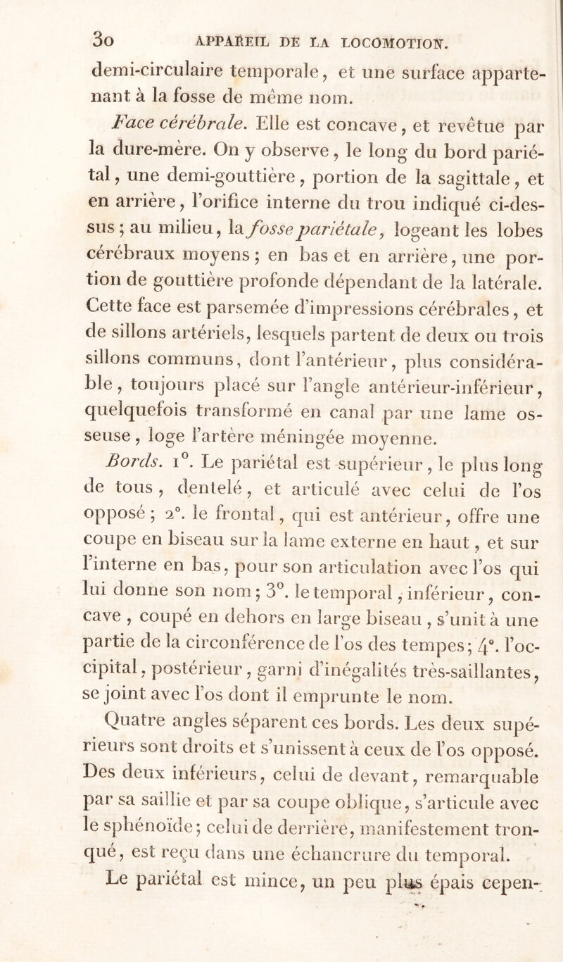 demi-circulaire temporale, et une surface apparte- nant à la fosse de meme nom. Face cérébrale. Elle est concave, et revêtue par- la dure-mère. On y observe , le long du bord parié- tal J une demi-gouttière, portion de la sagittale, et en arrière, l’orifice interne du trou indiqué ci-des- sus ; au milieu, la fosse pariétale y logeant les lobes cérébraux moyens ; en bas et en arrière, une poi-- tion de gouttière profonde dépendant de la latérale. Cette face est parsemée d’impressions cérébrales, et de sillons artériels, lesquels partent de deux ou trois sillons communs, dont l’antérieur, plus considéra- ble, toujours placé sur l’angle antérieur-inférieur, quelquefois transformé en canal par une lame os- seuse , loge l’artère méningée moyenne. Bords, Le pariétal est-supérieur , le plus long de tous , dentelé, et articulé avec celui de l’os opposé; 2°. le frontal, qui est antérieur, offre une coupe en biseau sur la lame externe en haut, et sur l’interne en bas, pour son articulation avec l’os qui lui donne son nom; 3^. le temporal, inférieur, con- cave , coupé en dehors en large biseau , s’unit à une partie de la circonférence de fos des tempes; 4“. l’oc- cipital, postérieur, garni d’inégalités très-saillantes, se joint avec l’os dont il emprunte le nom. Quatre angles séparent ces bords. Les deux supé- rieurs sont droits et s’unissent à ceux de l’os opposé. Des deux inférieurs, celui de devant, remarquable par sa saillie et par sa coupe oblique, s’articule avec le sphénoïde; celui de deridère, manifestement tron- qué, est reçu dans une échancrure du temporal. Le pariétal est mince, un peu plus épais cepen-.