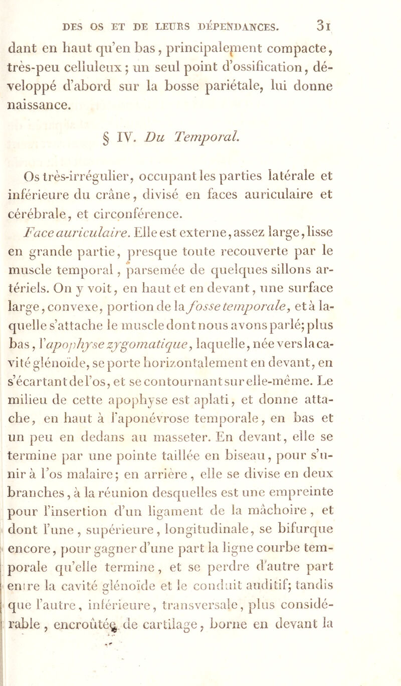dant en haut qu’en bas, principalepent compacte, très-peu celluleux ; un seul point d’ossification, dé- veloppé d’abord sur la bosse pariétale, lui donne naissance. § IV. Du Temporal, Os très-irrégulier, occupant les parties latérale et inférieure du crâne, divisé en faces auriculaire et cérébrale, et circonférence. Faceauriculaù'e. Elle est externe, assez large,lisse en grande partie, presque toute recouverte par le muscle temporal, parsemée de quekpies sillons ar- tériels. On y voit, en haut et en devant, une surface large, convexe, portion de la fosse temporale, et à la- quelle s’attache le muscle dont nous avons parlé; plus bas, \ apophyse zygomatique ^ laquelle, née vers la ca- vité glénoïde, se porte horizontalement en devant, en s’écartantdel’os, et secontournantsurelle-même. Le milieu de cette apophyse est aplati, et donne atta- che, en haut à l'aponévrose temporale, en bas et un peu en dedans au masseter. En devant, elle se termine par une pointe taillée en biseau, pour s’u- nira l’os malaire; en arrière, elle se divise en deux branches, à la réunion desquelles est une empreinte pour l’insertion d’un ligament de la mâchoire , et dont l’une, supérieure, longitudinale, se bifurque encore, pour gagner d’une part la ligne courbe tem- porale qu’elle termine, et se perdre d’autre part emre la cavité slénoïde et le conduit auditif; tandis que l’autre, inlérieure, transversale, plus considé- rable , encroûté^ de cartilage, borne en devant la