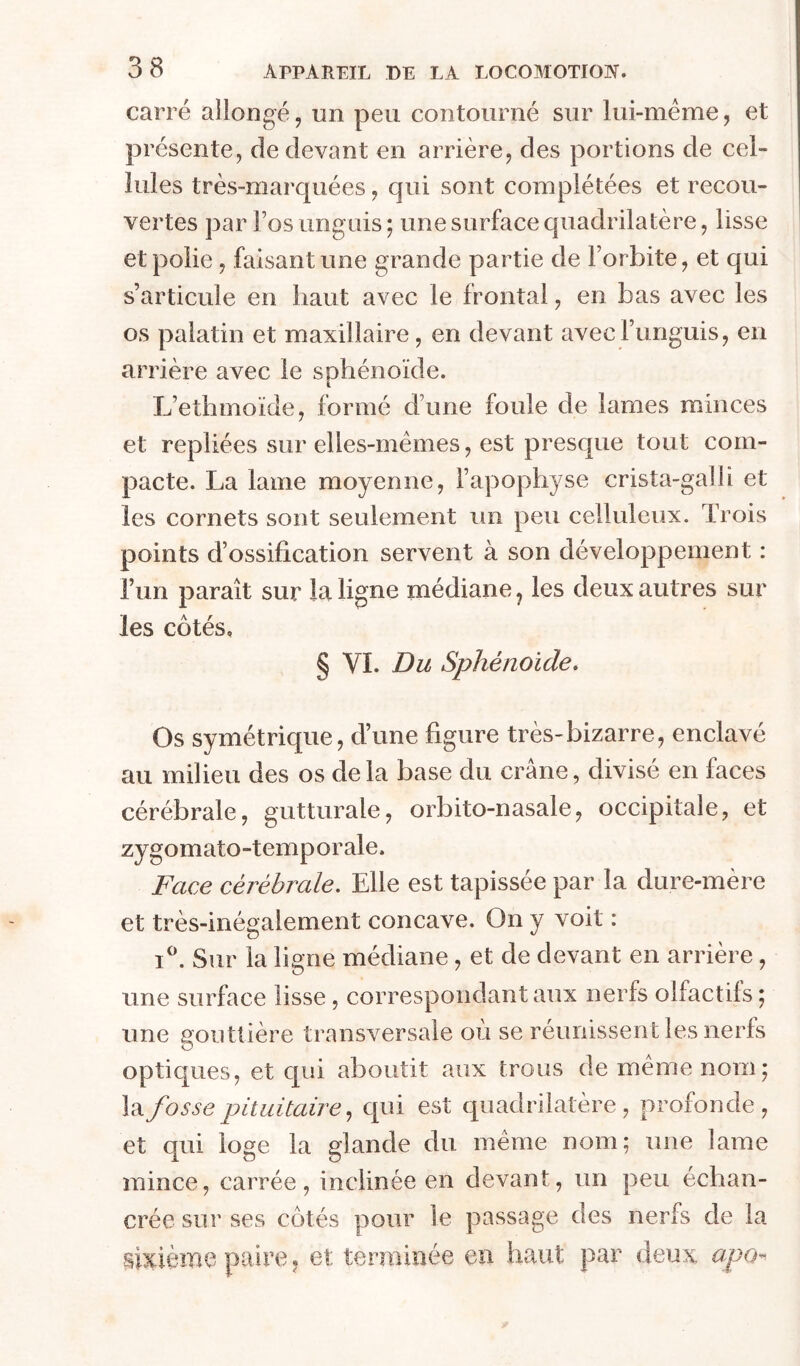 carré allongé, un peu contourné sur lui-méme, et pr ésente, de devant en arrière, des portions de cel- lules très-marquées, qui sont complétées et recou- vertes par Fos unguis ; une surface quadrilatère, lisse et polie, faisant une grande partie de Forbite, et qui s’articule en haut avec le frontal, en bas avec les os palatin et maxillaire, en devant avecFunguis, en arrière avec le sphénoïde. L’ethmoïde, formé dune foule de lames minces et repliées sur elles-mêmes, est prescpie tout com- pacte. La lame moyenne, Fapopliyse crista-galli et les cornets sont seulement un peu celluleux. Trois points d’ossification servent à son développement : l’un paraît sur la ligne médiane ^ les deux autres sur les côtés, § VI. Du Sphénoïde, Os symétrique, d’une figure très-bizarre, enclavé au milieu des os de la base du crâne, divisé en faces cérébrale, gutturale, orbito-nasale, occipitale, et zygomato-temporale. Face cérébrale. Elle est tapissée par la dure-mère et très-inégalement concave. On y voit : i^. Sur la ligne médiane, et de devant en arrière, une surface lisse, correspondant aux nerfs olfactifs ; une gouttière transversale où se réunissent les nerfs optiques, et qui aboutit aux trous de même nom; h/bssepituitaire., qui est quadrilatère, profonde, et qui loge la glande du même nom; une lame mince, carrée, inclinée en devant, un peu échan- crée sur ses côtés pour le passage des nerfs de la sixièiiie paire ^ et terminée en haut par deux apo--^