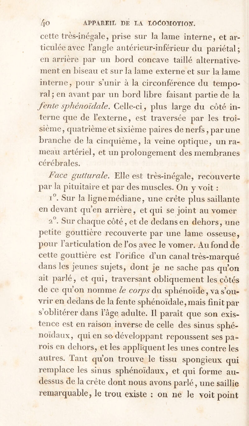 cette très-inégale J prise sur la lame interne, et ar- ticulée avec l’angle antérieur-inférieur du pariétal; en arrière par un bord concave taillé alternative- ment en biseau et sur la lame externe et sur la lame interne, pour s’unir à la circonférence du tempo- ral ; en avant par un bord libre faisant partie de la fente sphénoïdale. Celle-ci, plus large du côté in- terne que de l’externe, est traversée par les troi- sième , quatrième et sixième paires de nerfs, par une branche de la cinquième, la veine optique, un ra- meau artériel, et un prolongement des membranes cérébrales. Face gutturale. Elle est très-inégale, recouverte par la pituitaire et par des muscles. On y voit : I®. Sur la ligne médiane, une crête plus saillante en devant qu’en arrière, et qui se joint au vomer f. Sur chaque côté, et de dedans en dehors, une petite gouttière recouverte par une lame osseuse, pour l’articulation de l’os avec le vomer. Au fond de cette gouttière est l’orifice d’un canal très-marqué dans les jeunes sujets, dont je ne sache pas qu’on ait parlé, et qui, traversant obliquement les côtés de ce qu’on nomme le corps du sphénoïde, va s’ou- vrir en dedans de la fente sphénoïdale, mais finit par s’oblitérer dans l’âge adulte. Il paraît que son exis- tence est en raison inverse de celle des sinus sphé- noïdaux, qui en se» développant repoussent ses pa- rois en dehors, et les appliquent les unes contre les autres. Tant qu’on trouve le tissu spongieux qui remplace les sinus sphénoïdaux, et qui forme au- dessus de la crête dont nous avons parlé, une saillie remarquable, le trou existe : on ne le voit point