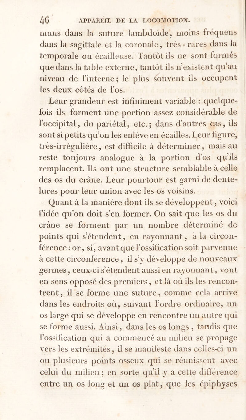 muns dans la suture lambdoïde^ moins fréquens dans la sagittale et la coronale, très-rares dans la temporale ou écailleuse. Tantôt ils ne sont formés que dans la table externe, tantôt ils n’existent qu’au niveau de l’interne; le plus souvent ils occupent les deux côtés de l’os. Leur grandeur est infiniment variable : quelque- fois ils forment une portion assez considérable de l’occipital, du pariétal, etc.; dans d’autres cas, ils sont si petits qu’on les enlève en écailles. Leur figure, très-irrégulière, est difficile à déterminer, mais au reste toujours analogue à la portion d’os qu’ils remplacent. Ils ont une structure semblable à celle des os du crâne. Leur pourtour est garni de dente- lures pour leur union avec les os voisins. Quant à la manière dont ils se développent, voici l’idée qu’on doit s’en former. On sait que les os du crâne se forment par un nombre déterminé de points qui s’étendent, en rayonnant, à la circon- férence: or, si, avant que l’ossification soit parvenue à cette circonférence, il s’y développe de nouveaux germes, ceux-ci s’étendent aussi en rayonnant, vont en sens opposé des premiers, et là où ils les rencon- trent , il se forme une suture, comme cela arrive dans les endroits où, suivant l’ordre ordinaire, un os large qui se développe en rencontre un autre qui se forme aussi. Ainsi, dans les os longs , taudis que l’ossification qui a commencé au milieu se propage vers les extrémités, il se manifeste dans celles-ci un ou plusieurs points osseux qui se réunissent avec celui du milieu ; en sorte qu’il y a cette différence entre un os long et un os plat, que les épiphyses