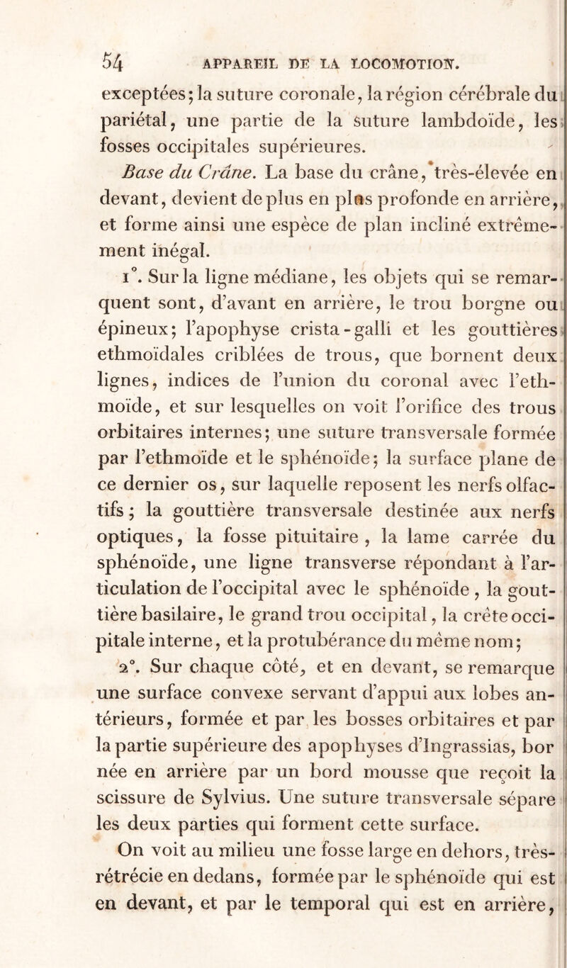 exceptées; la suture coronale, la région céré}3rale du pariétal, une partie de la suture lambdoïde, les fosses occipitales supérieures. Base du Crâne. La base du crâne/très-élevée en devant, devient déplus en plus profonde en arrière, et forme ainsi une espèce de plan incliné extrême- ment inégal. i'. Sur la ligne médiane, les objets qui se remar-- quent sont, d’avant en arrière, le trou borgne ou. épineux; l’apophyse crista-galli et les gouttières ethmoïdales criblées de trous, que bornent deux lignes, indices de l’union du coronal avec l’eth- moïde, et sur lesquelles on voit l’orifice des trous orbitaires internes; une suture transversale formée par l’ethmoïde et le sphénoïde ; la surface plane de ce dernier os, sur laquelle reposent les nerfs olfac- tifs ; la gouttière transversale destinée aux nerfs optiques, la fosse pituitaire, la lame carrée du sphénoïde, une ligne transverse répondant à l’ar- ticulation de l’occipital avec le sphénoïde , la gout- tière basilaire, le grand trou occipital, la crête occi- pitale interne, et la protubérance du même nom ; 2®. Sur chaque côté, et en devant, se remarque une surface convexe servant d’appui aux lobes an- térieurs, formée et par les bosses orbitaires et par j la partie supérieure des apophyses d’ingrassias, bor née en arrière par un bord mousse que reçoit la scissure de Sylvius. Une suture transversale sépare les deux parties qui forment cette surface. On voit au milieu une fosse large en dehors, très- j rétrécie en dedans, formée par le sphénoïde qui est en devant, et par le temporal qui est en arrière.