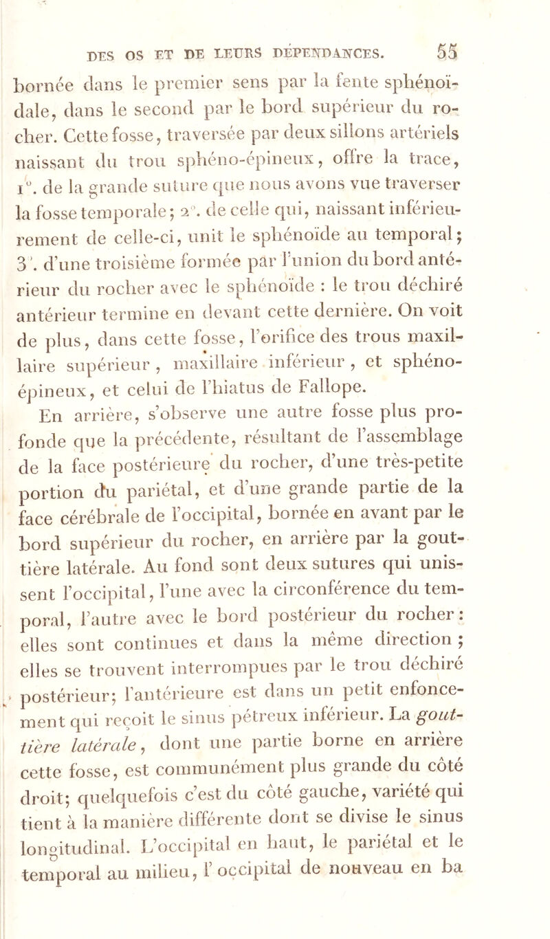 bornée dans le premier sens par la fente sphénoï- dale, dans le second par le bord supérieur du ro- cher. Cette fosse, traversée par deux sillons artériels naissant du trou spheno-epineux, offre la trace, de la grande suture que nous avons vue traverser la fosse temporale ; de celle cpii, naissant inférieu- rement de celle-ci, unit le sphénoïde au tempoialj 3 '. d’une troisième formée par f union du bord anté- rieur du rocher avec le sphénoïde : le trou déchiré antérieur termine en devant cette dernière. On voit de plus, dans cette fosse, Forifice des trous maxil- laire supérieur , maxillaire inférieur , et sphéno- épineux, et celui de Fhiatus de Fallope. En arrière, s’observe une autre fosse plus pro- fonde que la précédente, résultant de l’assemblage de la face postérieure' du rocher, d’une très-petite portion du pariétal, et d’une grande partie de la face cérébrale de l’occipital, bornée en avant par le bord supérieur du rocher, en arrière par la gout- tière latérale. Au fond sont deux sutures qui unis- sent l’occipital, l’une avec la circonférence du tem- poral, l’autre avec le bord postérieur du rocher: elles sont continues et dans la meme direction ÿ elles se trouvent interrompues pai le ti ou déchiré postérieur5 fanterieure est dans un petit enfonce- ment qui reçoit le sinus petreux infeiieur. La gout- tière latérale J dont une partie borne en arrière cette fosse, est communément plus grande du côté droit; quelquefois c’est du côté gauche, variété qui tient à la manière différente dont se divise le sinus longitudinal. L’occipital en haut, le pariétal et le temporal au milieu, l’occipital de nouveau en ba