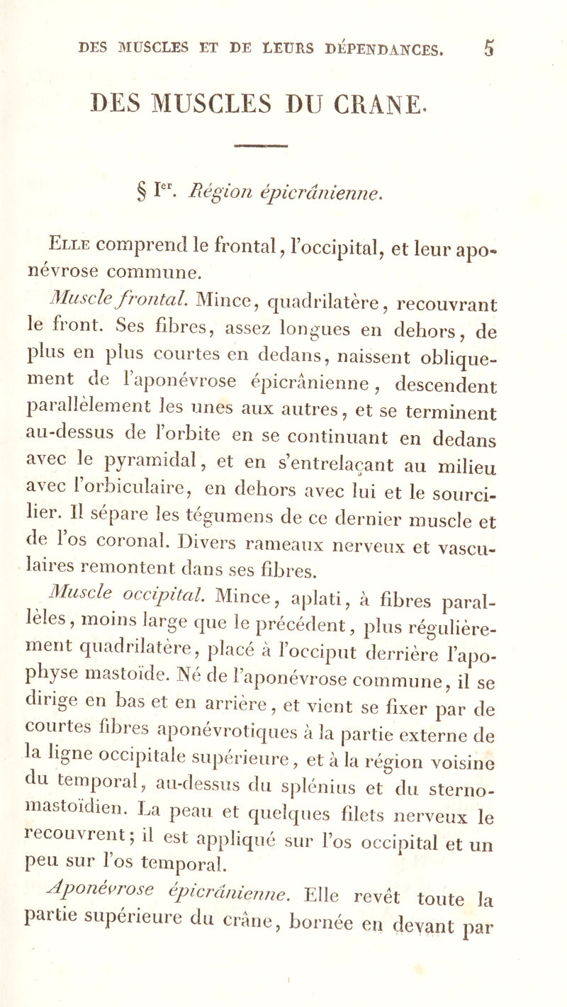 DES MUSCLES DU CRANE. § P'. Région épicrânieniie. Elle comprend le frontal, l’occipital, et leur apo» névrose commune. jMuscIcMince, cjuadrilatere, recouvrant le front. Ses fibres, assez longues en dehors, de plus en plus courtes en dedans, naissent oblique- ment de l’aponévrose épicranienne, descendent palallelement les unes aux autres, et se terminent au-dessus de l’orbite en se continuant en dedans avec le pyramidal, et en s’entrelaçant au milieu avec l’orbiculaire, en dehors avec lui et le sourci- liei. Il sépare les tegumens de ce dernier muscle et de 1 os coronal. Divers rameaux nerveux et vascu- laires remontent dans ses fibres. Muscle occipital. Mince, aplati, à fibres paral- lèles, moins large que le précédent, plus régulière- ment quadrilatère, placé à l’occiput derrière l’apo- physe mastoide. Né de l’aponévrose commune, il se dirige en bas et en arrière, et vient se fixer par de courtes fibres aponévrotiques à la partie externe de la ligne occipitale supérieure, et à la région voisine du temporal, au-dessus du splénius et du sterno- mastoidien. La peau et quelques filets nerveux le recouvrent ; il est appliqué sur l’os occipital et un peu sur l’os temporal. Aponévrose épicrânienne. Elle revêt toute la partie supérieure du crâne, bornée en devant par