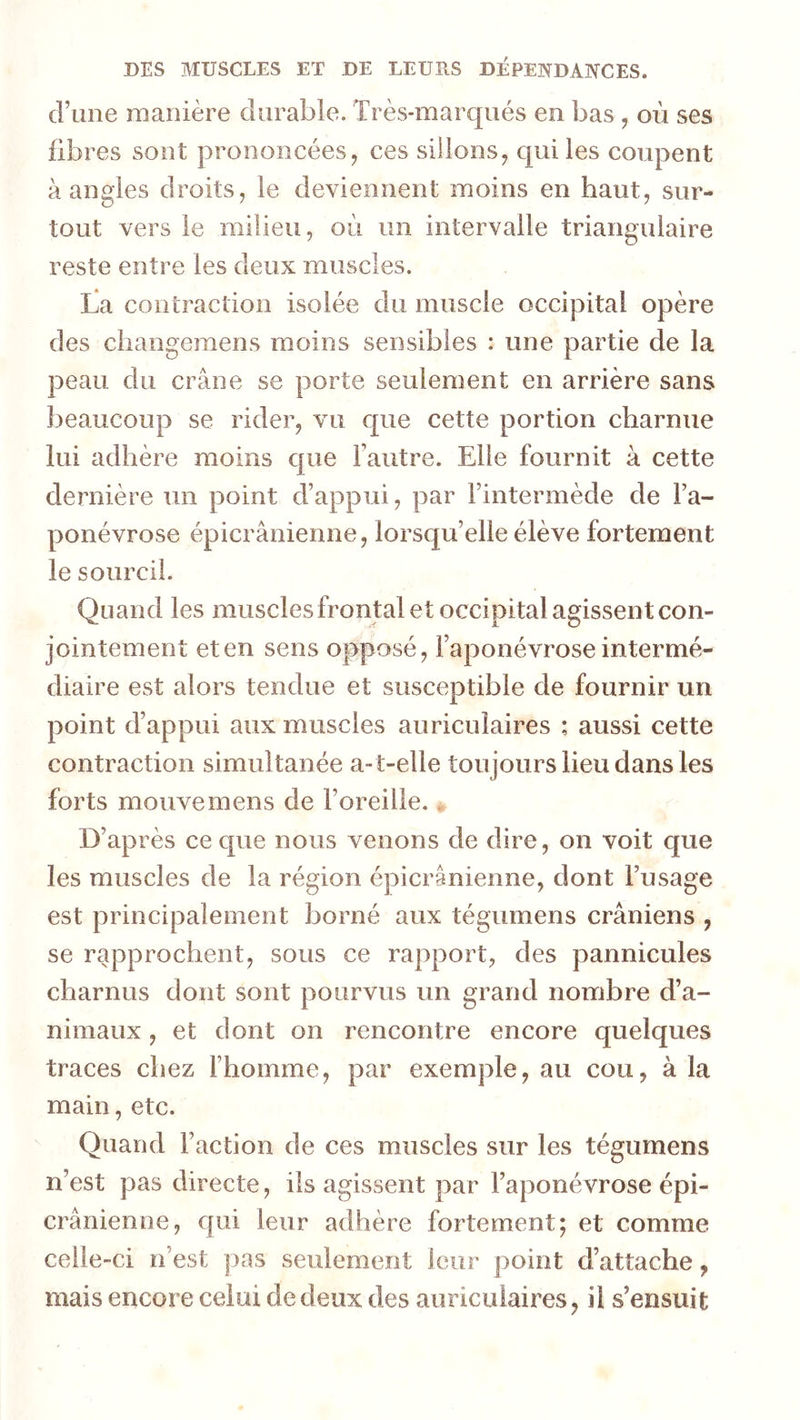 d’une manière durable. Très-marqués en bas , on ses fibres sont prononcées, ces sillons, qui les coupent à angles droits, le deviennent moins en haut, sur- tout vers le milieu, où un intervalle triangulaire reste entre les deux muscles. La contraction isolée du muscle occipital opère des cliangeraens moins sensibles : une partie de la peau du crâne se porte seulement en arrière sans beaucoup se rider, vu que cette portion charnue lui adhère moins c|ue l’autre. Elle fournit à cette dernière un point d’appui, par Fintermède de Fa- ponévrose épicranienne, lorsqu’elle élève fortement le sourcil. Quand les muscles frontal et occipital agissent con- jointement et en sens opposé, l’aponévrose intermé- diaire est alors tendue et susceptible de fournir un point d’appui aux muscles auriculaires ; aussi cette contraction simultanée a-t-elle toujours lieu dans les forts mouvemens de l’oreille. . D’après ce que nous venons de dire, on voit que les muscles de la région épicranienne, dont l’usage est principalement borné aux tégumens crâniens , se rapprochent, sous ce rapport, des pannicules charnus dont sont pourvus un grand nombre d’a- nimaux , et dont on rencontre encore quelques traces chez l’homme, par exemple, au cou, à la main, etc. Quand Faction de ces muscles sur les tégumens n’est pas directe, ils agissent par l’aponévrose épi- crânienne, cpii leur adhère fortement; et comme celle-ci n’est pas seulement leur point d’attache, mais encore celui de deux des auriculaires, il s’ensuit