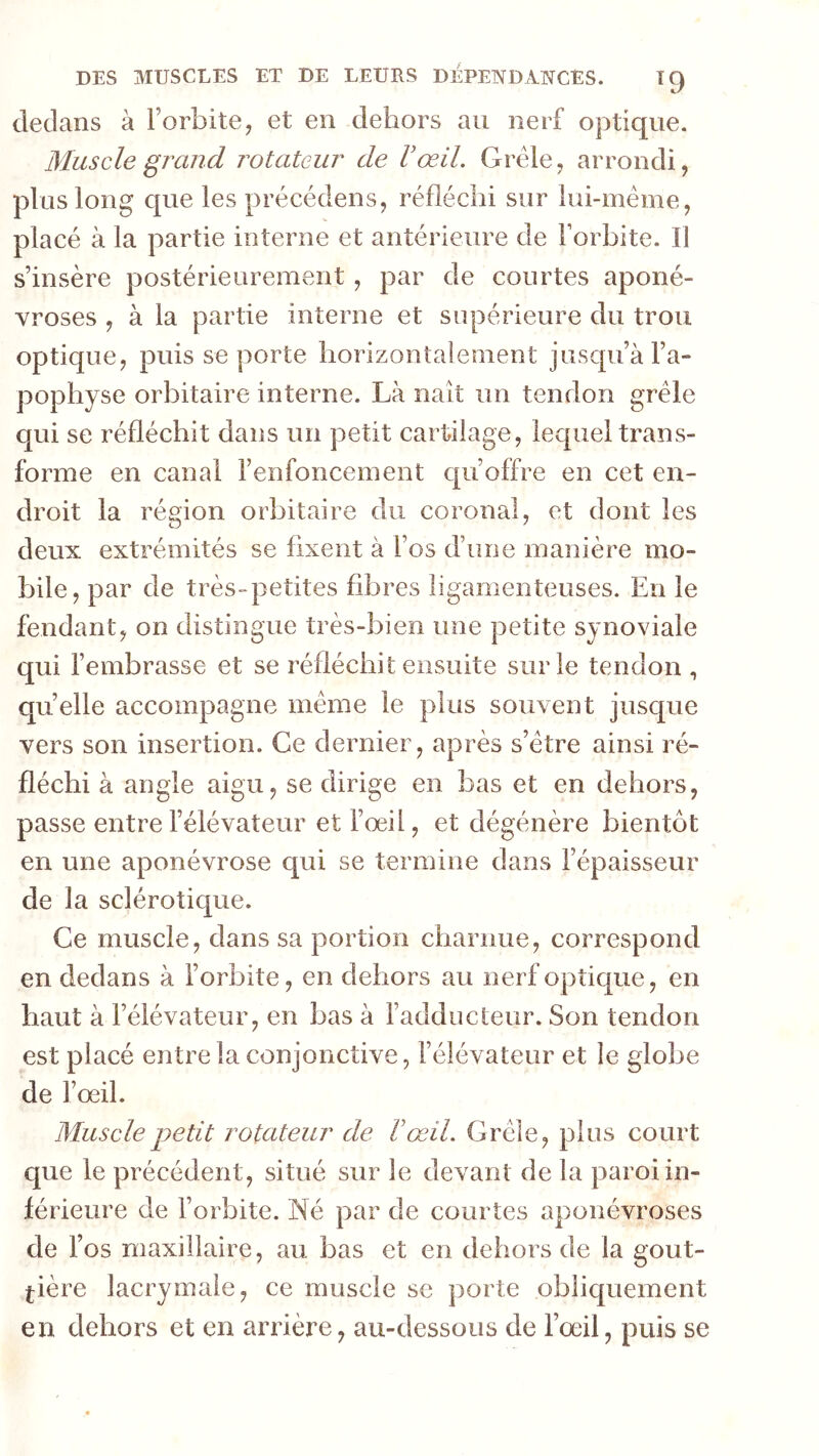 dedans à l’orbite, et en dehors au nerf optique. Muscle grand rotateur de Vœil. Grêle, arrondi, plus long que les précédens, réfléchi sur lui-méme, placé à la partie interne et antérieure de l’orbite. Il s’insère postérieurement , par de courtes aponé- vroses , à la partie interne et supérieure du trou optique, puis se porte horizontalement jusqu’à l’a- pophyse orbitaire interne. Là naît un tendon grêle qui se réfléchit dans un petit cartilage, lequel trans- forme en canal l’enfoncement qu’offre en cet en- droit la région orbitaire du coronal, et dont les deux extrémités se fixent à l’os d’une manière mo- bile, par de très-petites fibres ligamenteuses. En le fendant, on distingue très-bien une petite synoviale qui l’embrasse et se réfléchit ensuite sur le tendon , qu’elle accompagne même le plus souvent jusque vers son insertion. Ce dernier, après s’être ainsi ré- fléchi à angle aigu, se dirige en bas et en dehors, passe entre l’élévateur et l’oeil, et dégénère bientôt en une aponévrose qui se termine dans l’épaisseur de la sclérotique. Ce muscle, dans sa portion charnue, correspond en dedans à l’orbite, en dehors au nerf optique, en haut à l’élévateur, en bas à l’adducteur. Son tendon est placé entre la conjonctive, l’élévateur et le globe de l’œil. Muscle petit rotateur de V œil. Grêle, plus court que le précédent, situé sur le devant de la paroi in- férieure de l’orbite. Né par de courtes aponévroses de l’os maxillaire, au bas et en dehors de la gout- tière lacrymale, ce muscle se porte obliquement en dehors et en arrière, au-dessous de l’œil, puis se