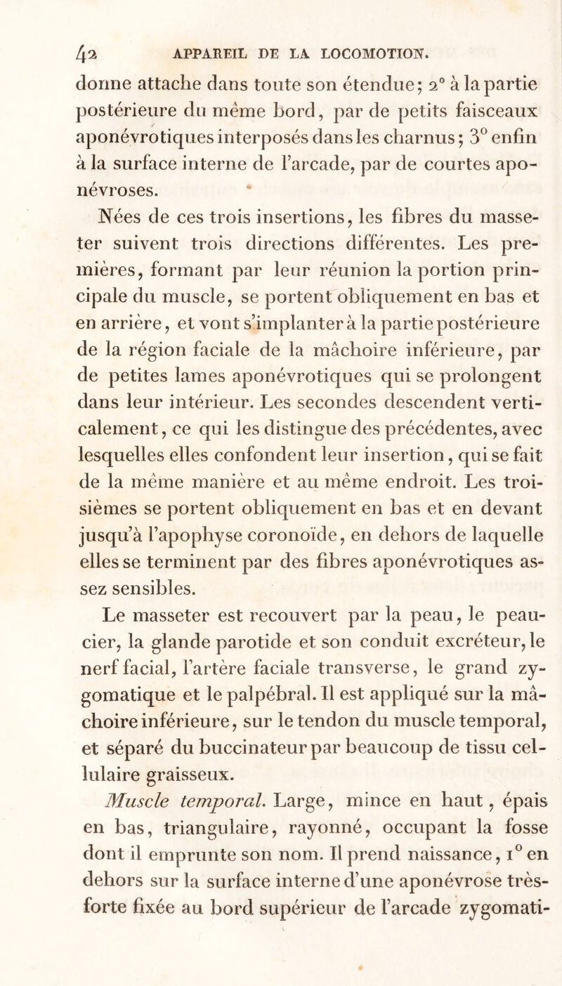 donne attache dans toute son étendue; 2® à la partie postérieure du meme bord, par de petits faisceaux aponévrotiques interposés dans les charnus ; 3^ enfin à la surface interne de l’arcade, par de courtes apo- névroses. Nées de ces trois insertions, les fibres du masse- ter suivent trois directions différentes. Les pre- mières, formant par leur réunion la portion prin- cipale du muscle, se portent obliquement en bas et en arrière, et vont s’implanter à la partie postérieure de la région faciale de la mâchoire inférieure, par de petites lames aponévrotiques qui se prolongent dans leur intérieur. Les secondes descendent verti- calement , ce qui les distingue des précédentes, avec lesquelles elles confondent leur insertion, qui se fait de la meme manière et au meme endroit. Les troi- sièmes se portent obliquement en bas et en devant jusqu’à l’apophyse coronoïde, en dehors de laquelle elles se terminent par des fibres aponévrotiques as- sez sensibles. Le masseter est recouvert par la peau, le peau- cier, la glande parotide et son conduit excréteur, le nerf facial, l’artère faciale transverse, le grand zy- gomatique et le palpébral. Il est appliqué sur la mâ- choire inférieure, sur le tendon du muscle temporal, et séparé du buccinateur par beaucoup de tissu cel- lulaire graisseux. Muscle temporal. Large, mince en haut, épais en bas, triangulaire, rayonné, occupant la fosse dont il emprunte son nom. Il prend naissance, en dehors sur la surface interne d’une aponévrose très- forte fixée au bord supérieur de l’arcade zygomati-