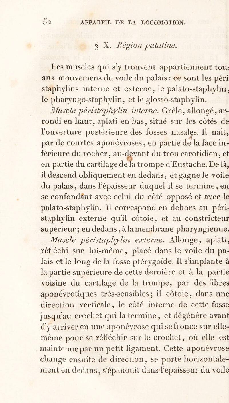 § X. Région palatine. Les muscles qui s’y trouvent appartiennent tous aux mouvemens du voile du palais : ce sont les péri staphylins interne et externe, le palato-staphylin. le pharyngo-staphylin, et le glosso-staphylin. Muscle péristaphjlin interne. Grêle, allongé, ar- rondi en haut, aplati en bas, situé sur les côtés de l’ouverture postérieure des fosses nasales. Il naît, par de courtes aponévroses, en partie de la face in- férieure du rocher, au-(|gvant du trou carotidien, et en partie du cartilage de la trompe d’Eustache. De là, il descend obliquement en dedans, et gagne le voile du palais, dans l’épaisseur duquel il se termine, en se confondant avec celui du côté opposé et avec le palato-staphylin. Il correspond en dehors au péri- staphylin externe qu’il côtoie, et au constricteur supérieur ; en dedans, à la membrane pharyngienne. Muscle péristaphjlin externe. Allongé, aplati, réfléchi sur lui-même, placé dans le voile du pa- lais et le long de la fosse ptérygoïde. Il s’implante à la partie supérieure de cette dernière et à la partie voisine du cartilage de la trompe, par des fibres aponévrotiques très-sensibles; il côtoie, dans une direction verticale, le côté interne de cette fosse jusqu’au crochet qui la termine, et dégénère avant d’y arriver en une aponévrose qui se fronce sur elle- même pour se réfléchir sur le crochet, où elle est maintenue par un petit ligament. Cette aponévrose change ensuite de direction, se porte horizontale- ment en dedans, s’épanouit daasd’épaisseur du voile
