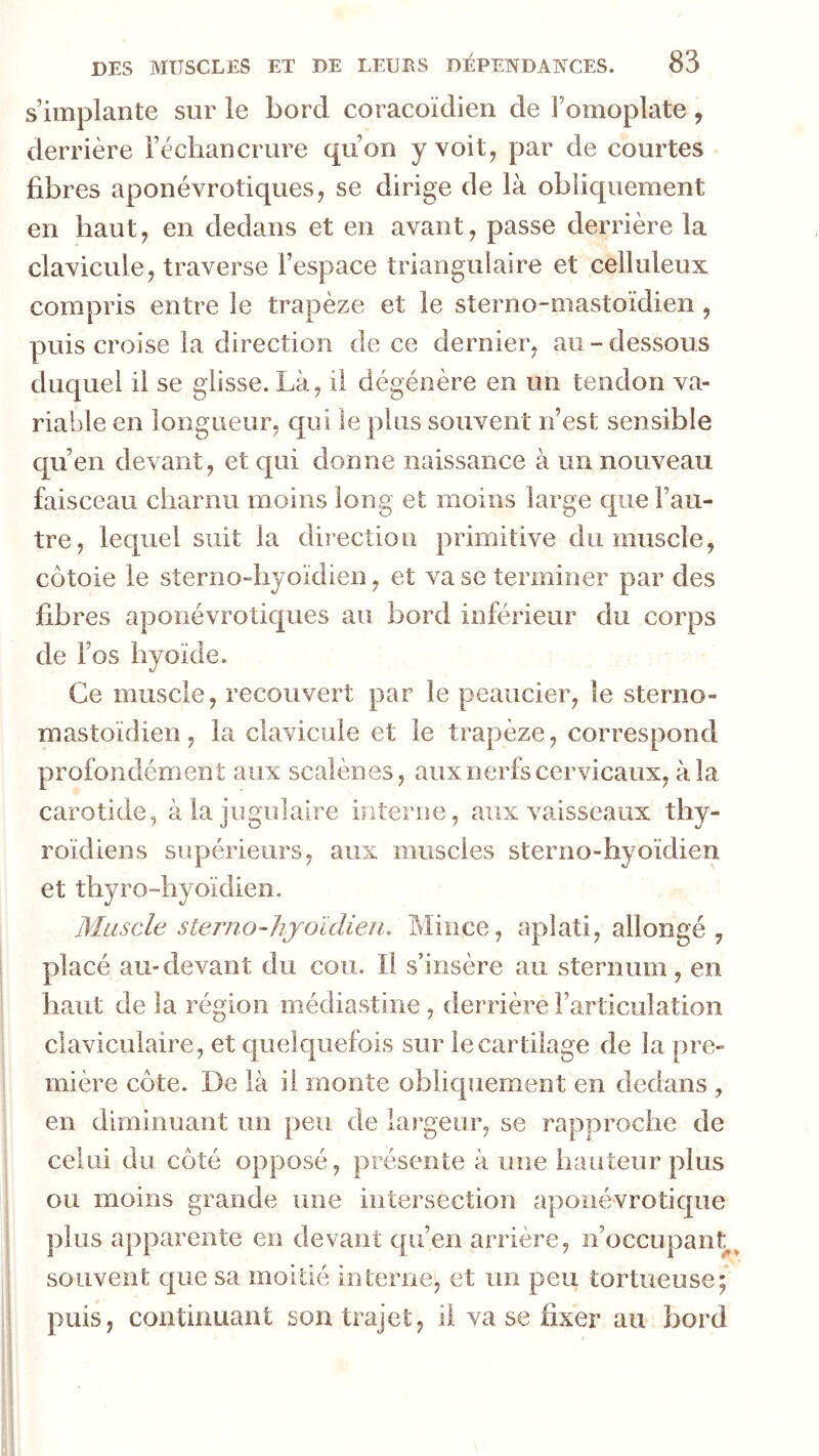 s’implante sur le bord coracoïdien de l’omoplate , derrière l’échancrure qu’on y voit, par de courtes fibres aponévrotiques, se dirige de là obliquement en haut, en dedans et en avant, passe derrière la clavicule, traverse l’espace triangulaire et celluleux compris entre le trapèze et le sterno-mastoïdien, puis croise la direction de ce dernier, au - dessous duquel il se glisse. Là, il dégénère en un tendon va- riable en longueur, qui le plus souvent n’est sensible qu’en devant, et qui donne naissance à un nouveau faisceau charnu moins long et moins large que l’au- tre, lequel suit la direction primitive du muscle, côtoie le sterno-hyoïdien, et va se terminer par des fibres aponévrotiques au bord inférieur du corps de l’os hyoïde. Ce muscle, recouvert par le peaucier, le sterno- mastoïdien, la clavicule et le trapèze, correspond profondément aux scalènes, aux nerfs cervicaux, à la carotide, à la jugulaire interne, aux vaisseaux thy- roïdiens supérieurs, aux muscles sterno-hyoïdien et thyro-hyoïdien. Muscle sterno-lijoldien. Mince, aplati, allongé, placé au-devant du cou. Il s’insère au sternum, en haut de la région médiastine, derrière l’articulation claviculaire, et quelquefois sur le cartilage de la pre- mière côte. De là il monte obliquement en dedans , en diminuant un peu de largeur, se rapproche de celui du côté opposé, présente à une hauteur plus ou moins grande une intersection aponévrotique plus apparente en devant qu’en arrière, n’occupant ^ souvent que sa moitié interne, et un peu tortueuse; puis, continuant son trajet, il va se fixer au bord