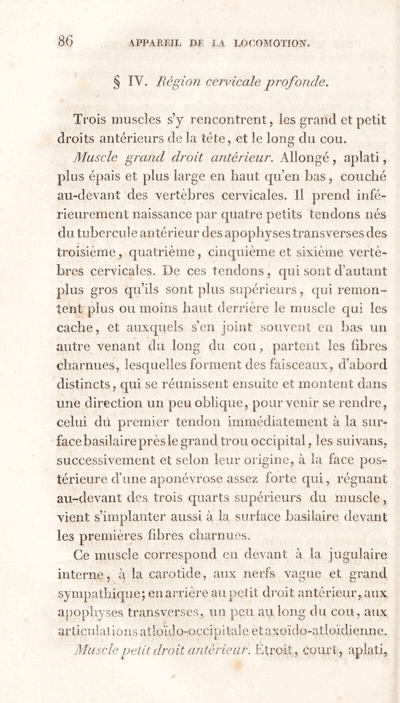 § ÏV. Région cervicale profonde. Trois muscles s’y rencontrent, les grand et petit droits antérieurs de la tête, et le long du cou. Muscle grand droit antérieur. Allongé, aplati, plus épais et plus large en haut qu’en bas, couché au-devant des vertèbres cervicales. Il prend infé- rieurement naissance par quatre petits tendons nés du tubercule antérieur des apophyses transverses des troisième, quatrième, cinquième et sixième vertè- bres cervicales. De ces tendons , qui sont d’autant plus gros qu’ils sont plus supérieurs, qui remon- tent plus ou moins haut derrière le muscle qui les cache, et auxquels s’en joint souvent en bas un autre venant du long du cou, partent les fibres charnues, lesquelles forment des faisceaux, d’abord distincts, qui se réunissent ensuite et montent dans une direction un peu oblique, pour venir se rendre, celui du premier tendon immédiatement à la sur- face basilaire près le grand trou occipital, les suivans, successivement et selon leur origine, à la face pos- térieure d’une aponévrose assez forte qui, régnant au-devant des trois c[uarts supérieurs du muscle, vient s’implanter aussi à la surface basilaire devant les premières fibres charnues. Ce muscle correspond en devant à la jugulaire interne, à la carotide, aux nerfs vague et grand sympathique; en arrière au petit droit antérieur, aux apophyses transverses, un peu au long du cou, aux articulations aîloïdo-occipitale etaxoïdo-atloïdienne. Muscle petit droit antérieur. Etroit, court, aplati,