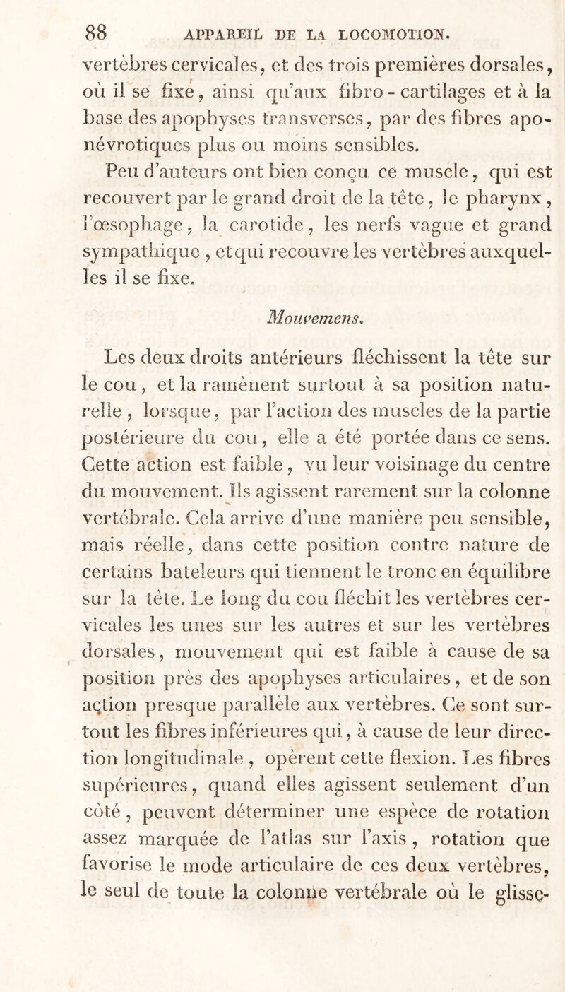 vertèbres cervicales, et des trois premières dorsales, où il se fixe, ainsi qu’aux fibro - cartilages et à la base des apophyses transverses, par des fibres apo- névrotiques plus ou moins sensibles. Peu d’auteurs ont bien conçu ce muscle, qui est recouvert par le grand droit de la tête, le pharynx , Pœsophage, la carotide, les nerfs vague et grand sy mpathique , et qui recouvre les vertèbres auxquel- les il se fixe. Mouvemens, Les deux droits antérieurs fléchissent la tête sur le cou ^ et la ramènent surtout à sa position natu- relle , lorsque, par Faction des muscles de la partie postérieure du cou, elle a été portée dans ce sens. Cette action est faible, vu leur voisinage du centre du mouvement. Ils agissent rarement sur la colonne vertébrale. Gela arrive d’une manière peu sensible, mais réelle, dans cette position contre nature de certains bateleurs qui tiennent le tronc en équilibre sur la tête. Le long du cou fléchit les vertèbres cer- vicales les unes sur les autres et sur les vertèbres dorsales, mouvement qui est faible à cause de sa position près des apophyses articulaires, et de son action presque parallèle aux vertèbres. Ce sont sur- tout les fibres inférieures qui, à cause de leur direc- tion longitudinale , opèrent cette flexion. Les fibres supérieures, quand elles agissent seulement d’un côté, peuvent déterminer une espèce de rotation assez marquée de l’atlas sur l’axis , rotation que favorise le mode articulaire de ces deux vertèbres, le seul de toute la colonne vertébrale où le glisse-