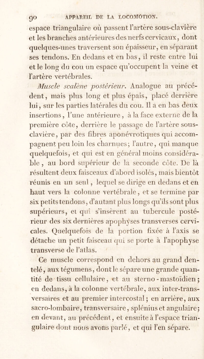 9^ espace triangulaire où passent l’artère sous-clavière et les branches antérieures des nerfs cervicaux, dont quelques-unes traversent son épaisseur, en séparant ses tendons. En dedans et en bas, il reste entre lui et le long du cou un espace qu’occupent la veine et l’artère vertébrales. Muscle scalène postérieur. Analogue au précé- dent, mais plus long et plus épais, placé derrière lui, sur les parties latérales du cou. Il a en bas deux insertions, Eune antérieure , à la face externe de la première côte, derrière ie passage de l’artère sous- clavière, par des fibres aponévrotiques qui accom- pagnent peu loin les charnues; l’autre, qui manque quelquefois, et qui est en général moins considéra- ble , au bord supérieur de la seconde côte. De là résultent deux faisceaux d’abord isolés, mais bientôt réunis en un seul, lequel se dirige en dedans et en haut vers la colonne vertébrale, et se termine par six petits tendons, d’autant plus longs qu’ils sont plus supérieurs, et qui s’insèrent au tubercule posté- rieur des six dernières apophyses transverses cervi- cales. Quelquefois de la portion fixée à l’axis se détache un petit faisceau qui se porte à l’apophyse transverse de l’atlas. Ce muscle correspond en dehors au grand den- telé , aux tégumens, dont le sépare une grande quan- tité de tissu cellulaire, et au sterno - mastoïdien ; en dedans, à la colonne vertébrale, aux inter-trans- versaires et au premier intercostal ; en arrière, aux sacro-lombaire, transversaire, spléniuset angulaire; en devant, au précédent, et ensuite à l’espace trian- gulaire dont nous avons parlé, et qui l’en sépare.
